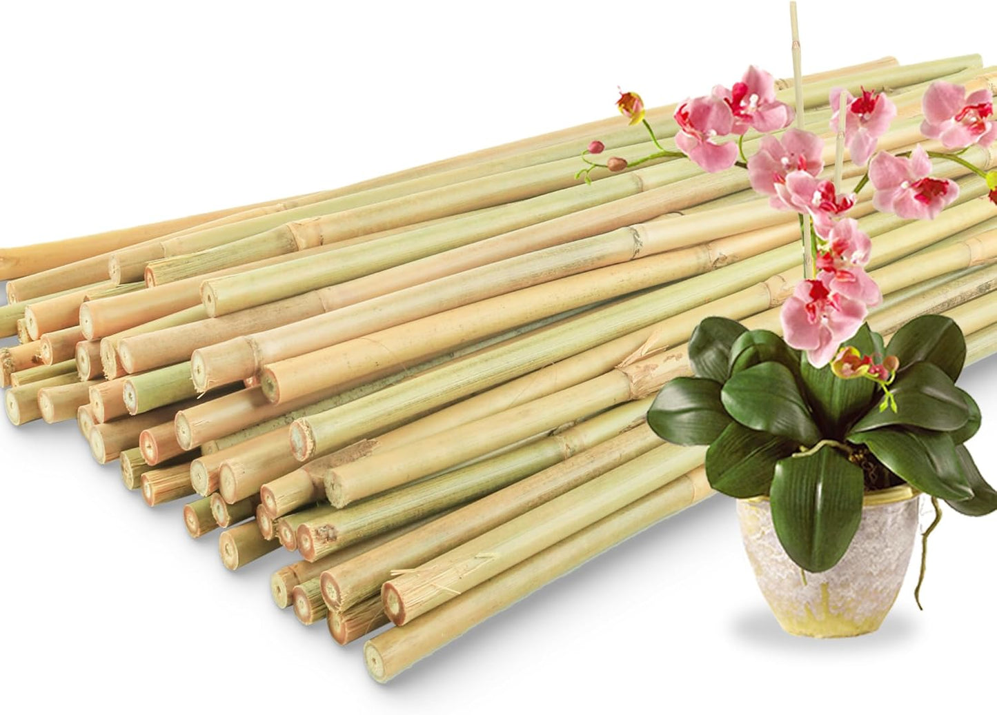 50Pcs / 18 inch Bamboo Plant Stakes for Indoor Outdoor Plants, Garden Plant Support Sticks, Poles for Tomato Vegetables Beans Trees Potted Climbing Plants(0.32''-0.4'')
