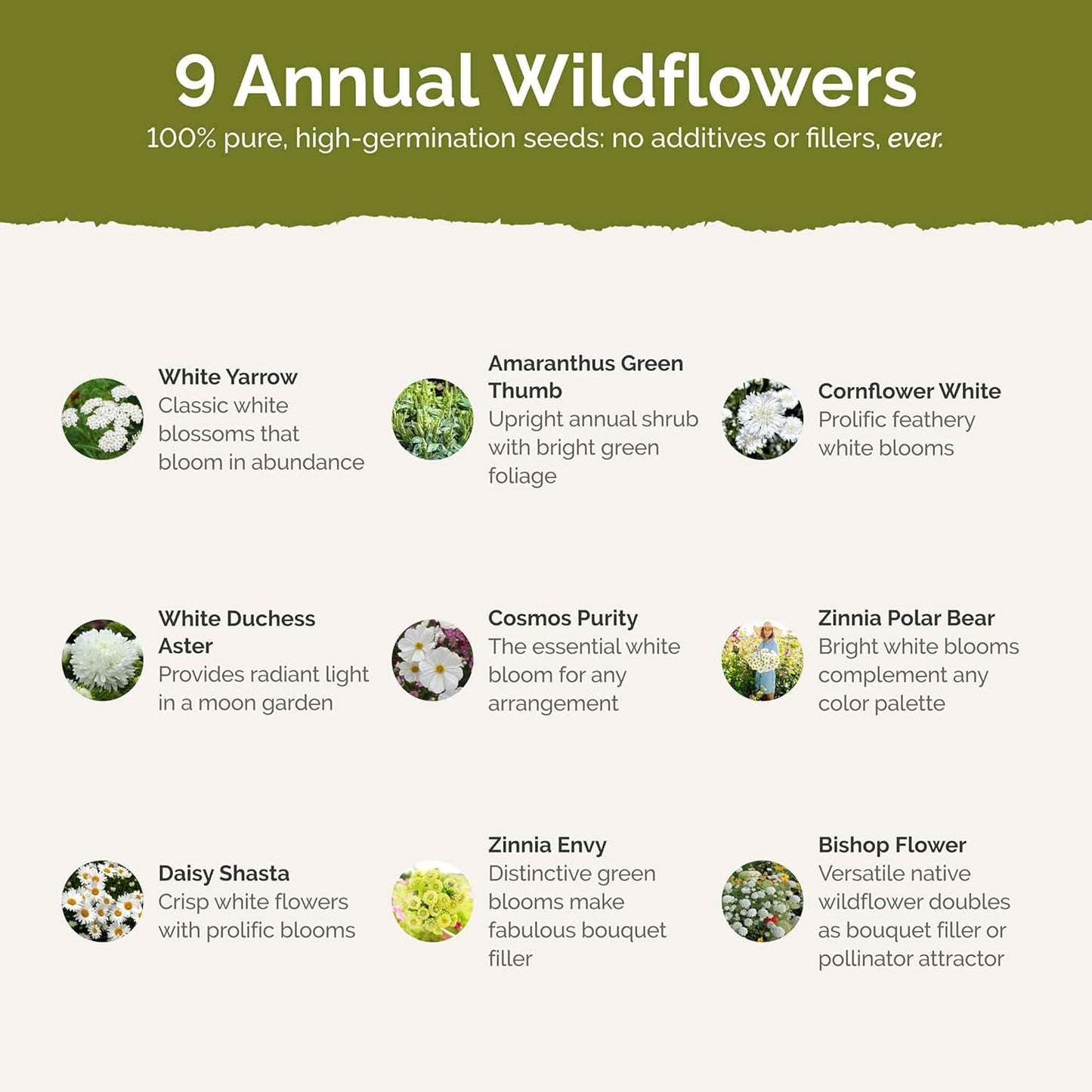 Eden Brothers Green with Envy Flower Mixed Seeds for Planting, 1/4 lb, 120,000+ Seeds with White Yarrow, Cornflower White | Attracts Pollinators, Plant in Spring or Fall, Zones 3, 4, 5, 6, 7, 8, 9, 10