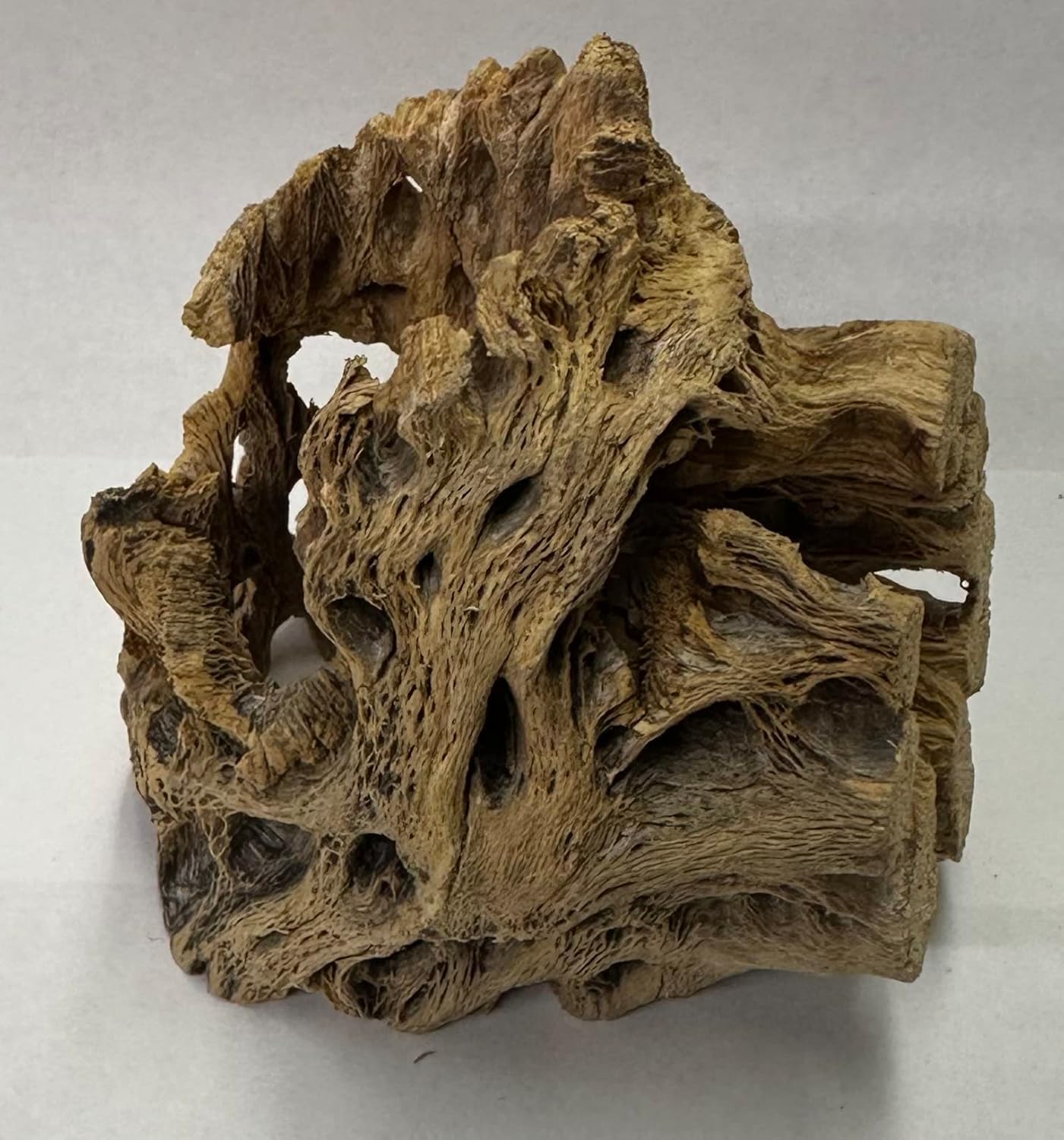 Natural Cholla Wood Chunk Air Plant Display Holders Individually Unique Decorative Stands Holder (Cholla Chunk)