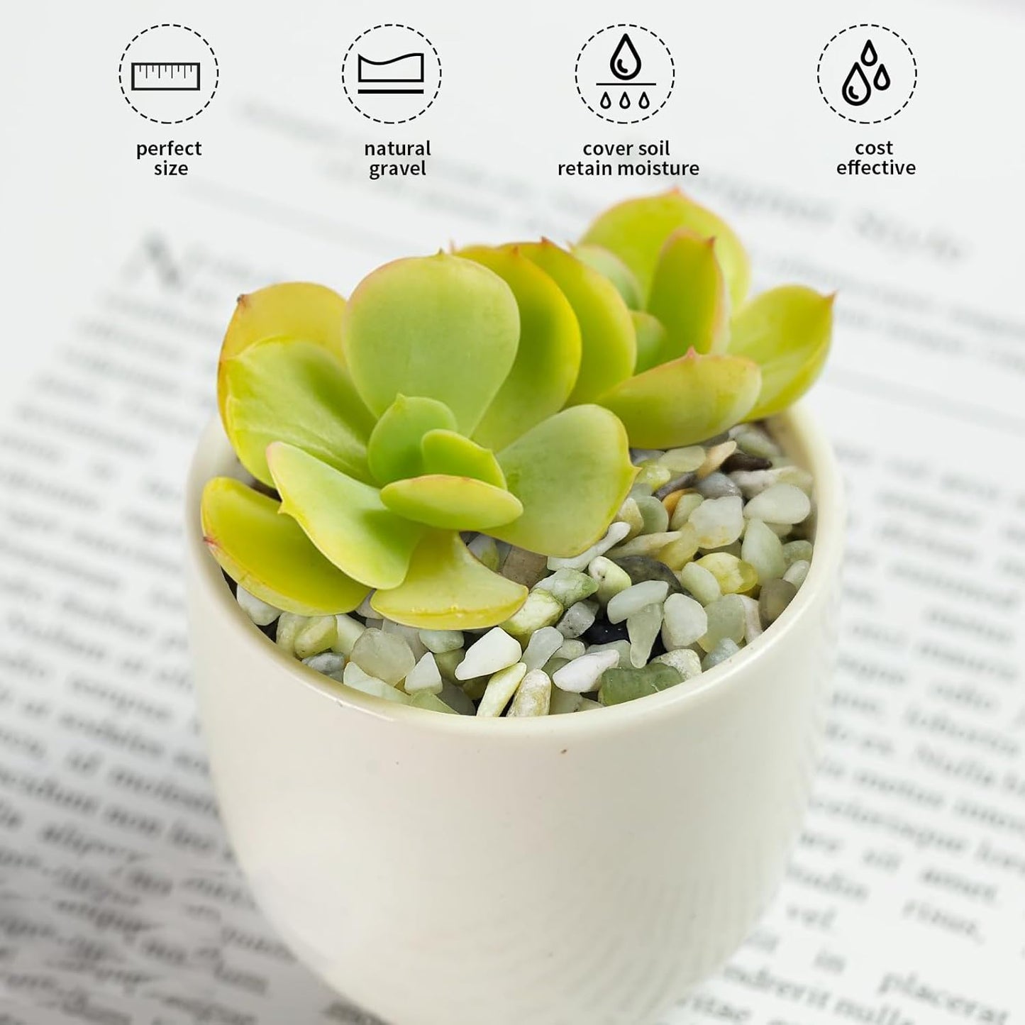 2 lbs Jade Rocks for Plants Indoor, 1/4 inch Small Pebbles for Plants, Decorative Rocks for Succulents Cactus Vases Landscaping Drainage and Outdoor Garden Rocks