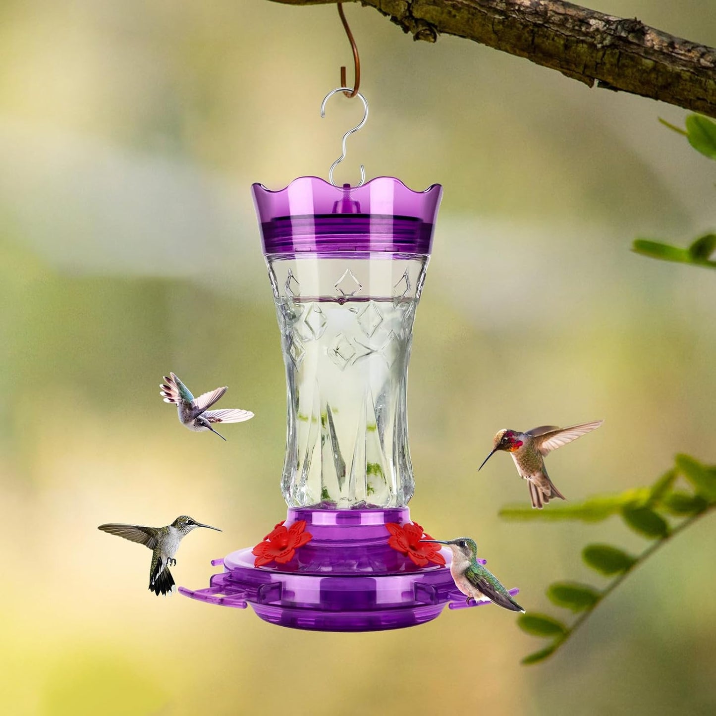 BOLITE Glass Hummingbird Feeders for Outdoors Hanging, Built-in Ant Moat, 4 Bee Guard Feeding Ports with Perches, Leak Proof, 15 Ounces, Stars Decor, Purple, Gifts for Women Men, Gifts for Mom Dad