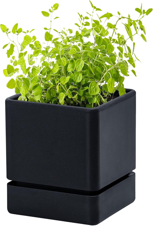 4 Inch Herb Planter Pot, Plastic Planter with Drainage Holes and Saucer, Modern Decorative Gardening Pot for Indoor Plants, Flowers, Herbs, Succulents, Black, Set of 1, 76-Y-B-1