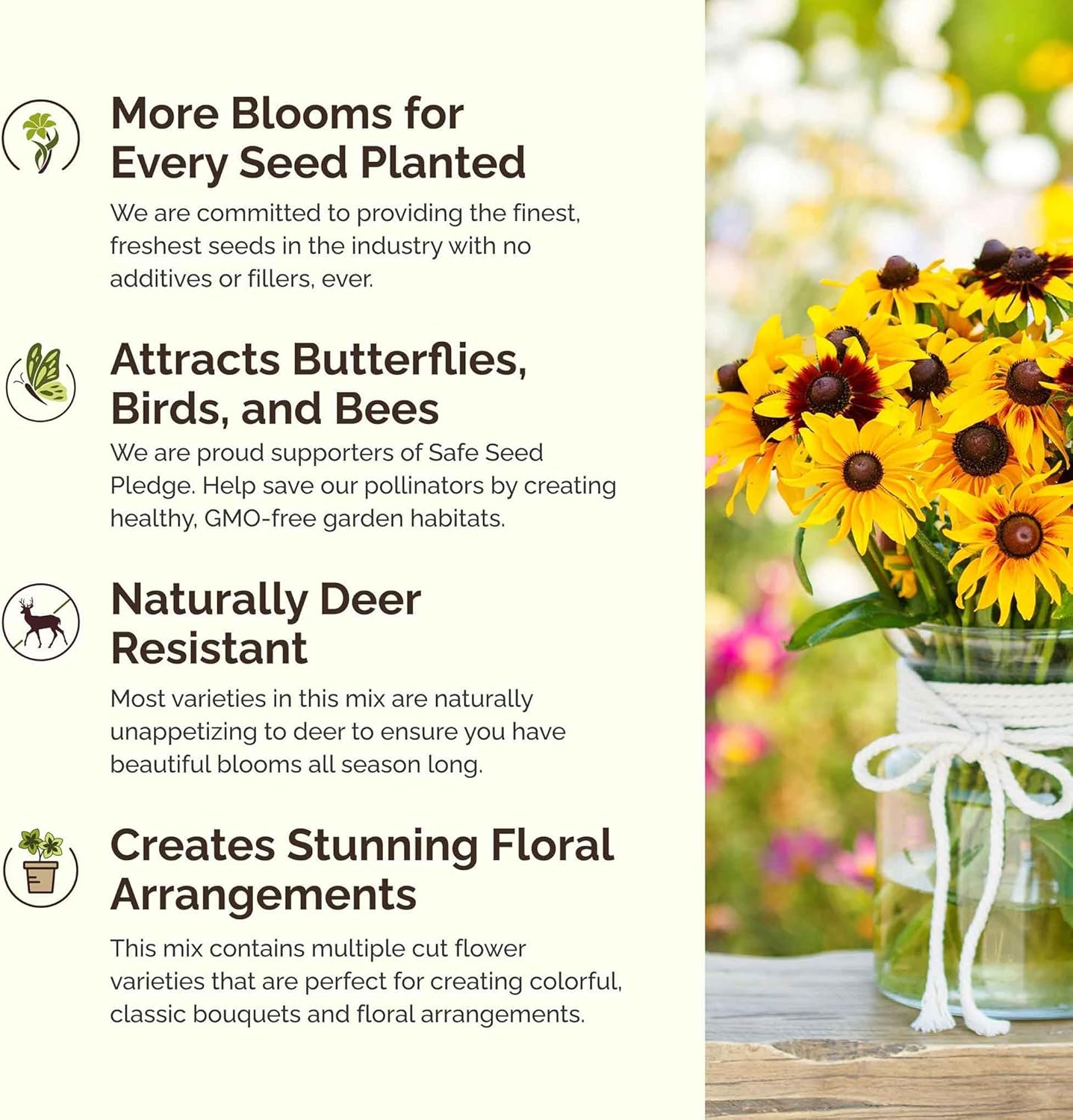 Eden Brothers All Perennial Wildflower Mixed Seeds for Planting, 1/4 lb, 120,000+ Seeds with Lupine, Shasta Daisy | Attracts Pollinators, Plant in Spring or Fall, Zones 3, 4, 5, 6, 7, 8, 9, 10