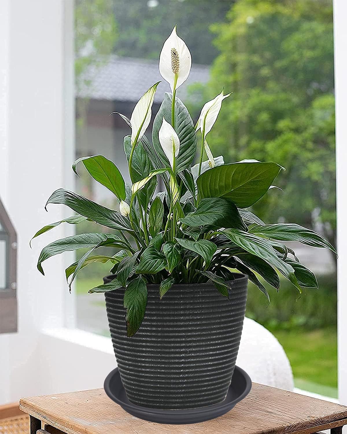 2 Pack Plant Saucer Drip Tray 11 12 inch, Pot Base for Plants Indoor, Plastic Flower Planter Saucers and Drip Trays for Outdoors, Heavy Durable Plant Plate Water Catcher (12", Black)