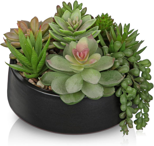 DILATATA Artificial Succulent Plants in Pot 5.5 Inch Fake Succulents Arrangement Potted Plant in Black Ceramic Planter Bowl for Home Office Desk Shelf Living Room Bedroom Bathroom Decor