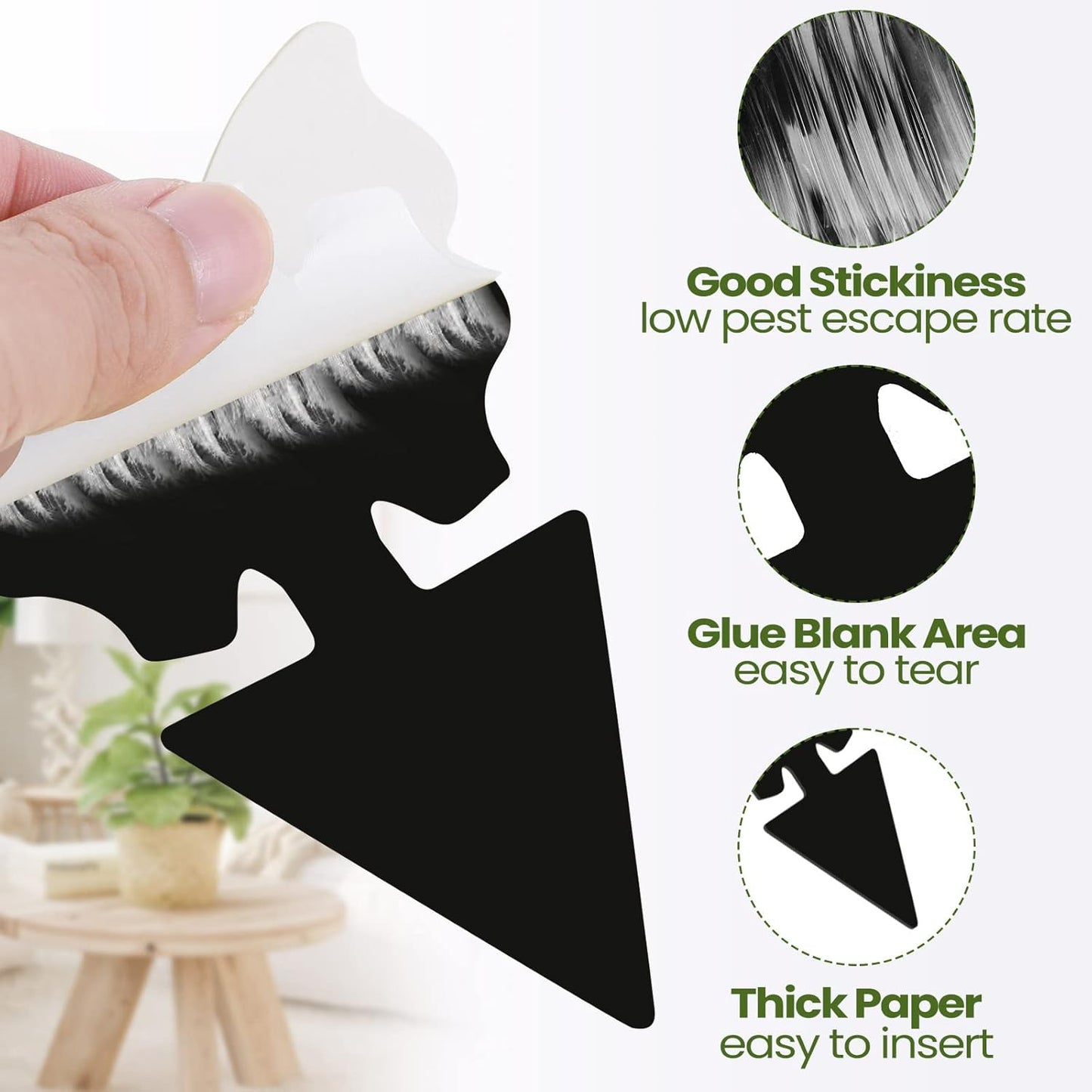 200 Sheets Fruit Fly Sticky Traps for Fruit Fly Gnat Trap for House Indoors Sticky Traps Catcher for Gnats Fungus Gnats Mosquito Catcher for Kitchen Outdoor Plants(Black)