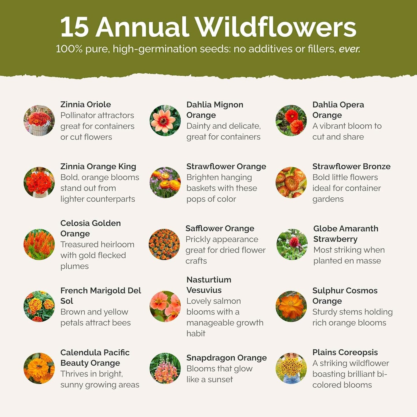 Eden Brothers Orange You Glad Flower Mixed Seeds for Planting, 1 lb, 480,000+ Seeds with Dahlia, Double Strawflower | Attracts Pollinators, Plant in Spring or Fall, Zones 3, 4, 5, 6, 7, 8, 9, 10