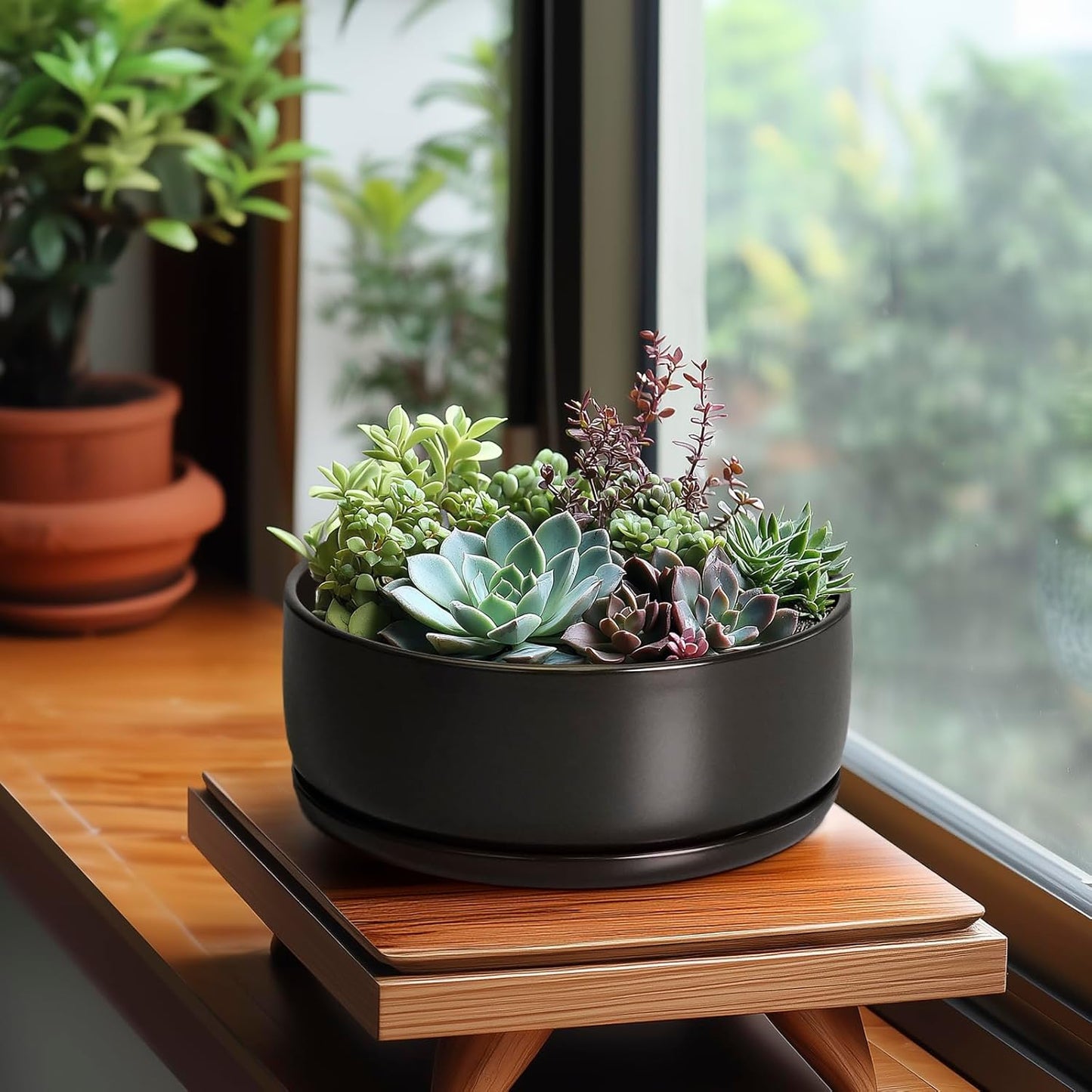 SQOWL Bonsai Pots - 8 Inch Ceramic Plant Pots for Succulents, Round Indoor Planter with Drainage Hole and Saucer, Shallow Modern Planter Bowl, Room Decor, Black