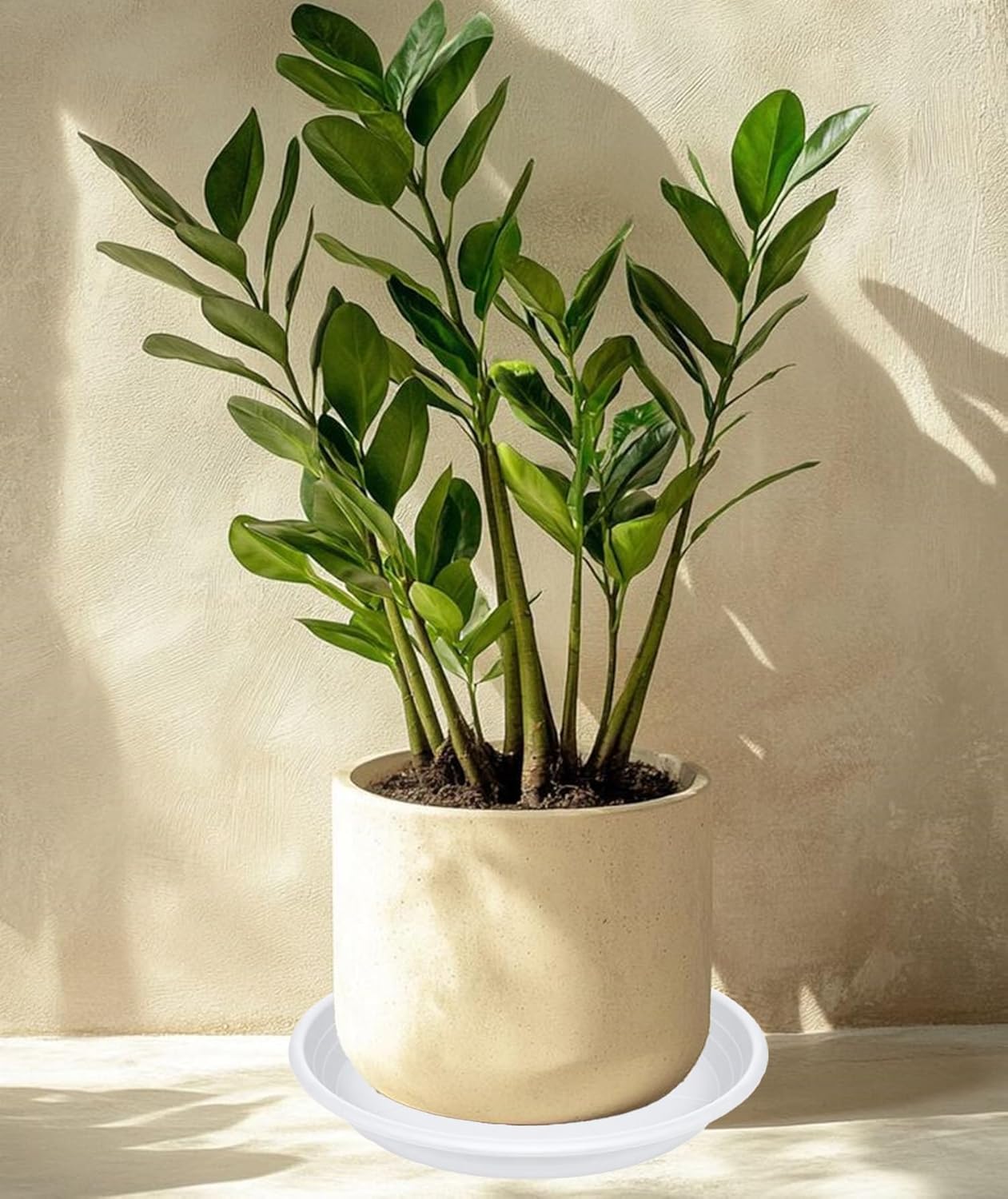 2 Pack of 16 inch Plant Saucer, Large Plant Tray, Heavy Sturdy Plant Drainage Tray for Indoors, Bird Bath Bowls, Sturdy Plastic Pot Tray for Planter (White)