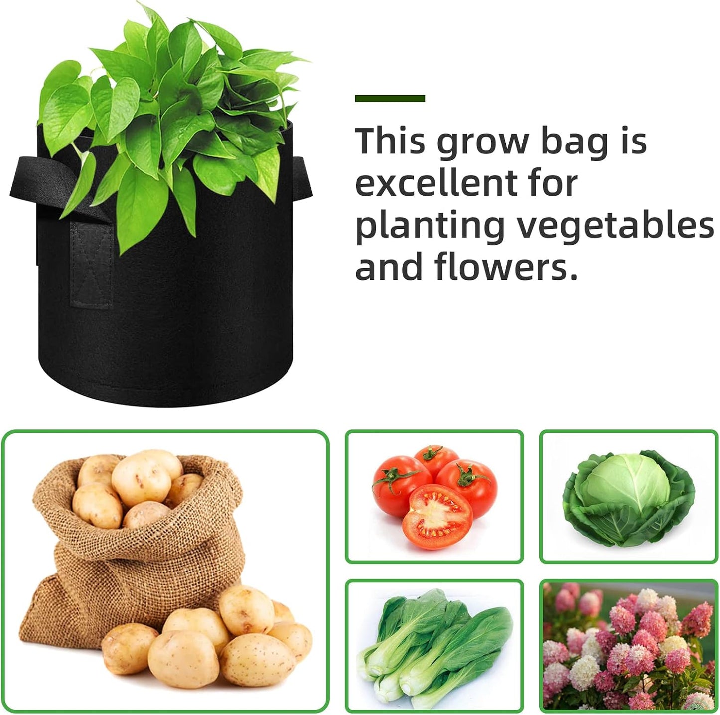 12-Pack 5 Gallon Plant Grow Bags, Thickened Nonwoven Fabric Pots with Handles, Vegetable Planter Bags Containers, Cloth Planters for Garden Vegetable/Flower/Plant/Fruits Outdoor (Black)