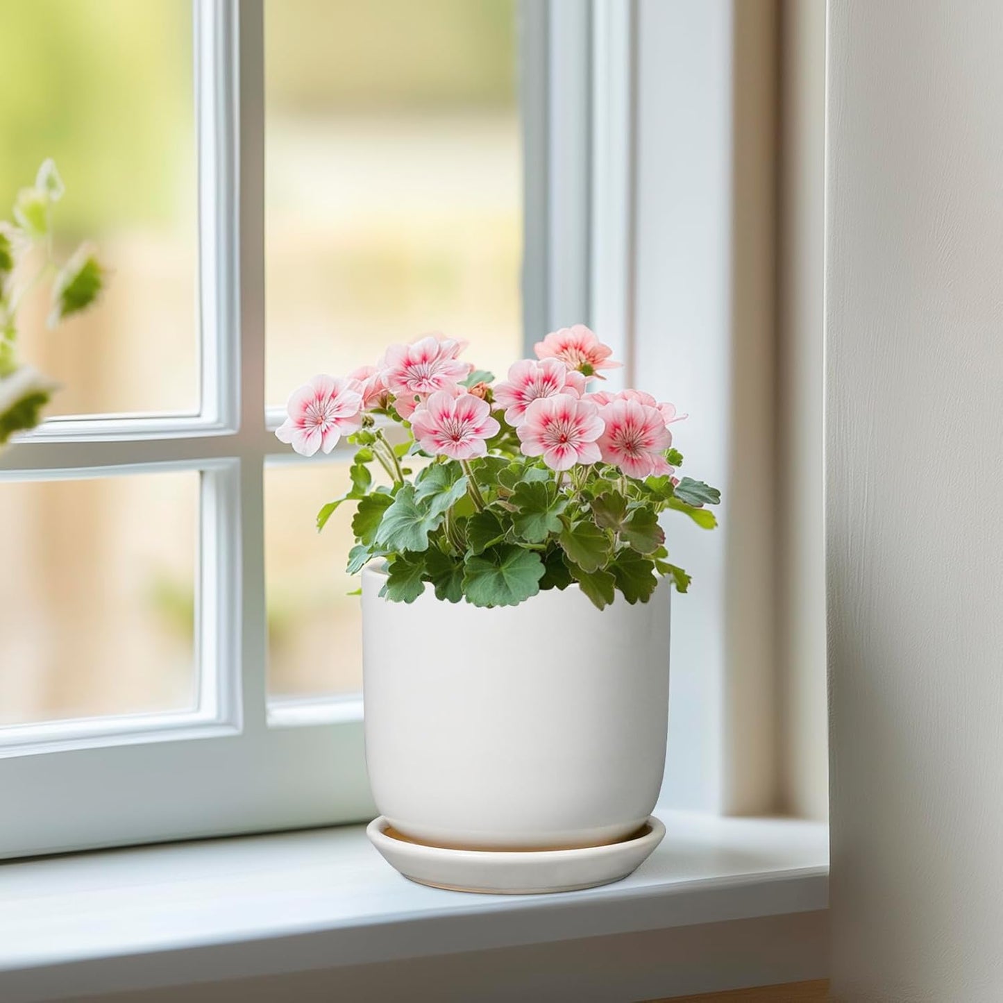 Indoor Plant Pot 5 Inch - Round Ceramic Planter for Succulent Plants with Drainage Hole and Saucer, Modern Home Decor, White