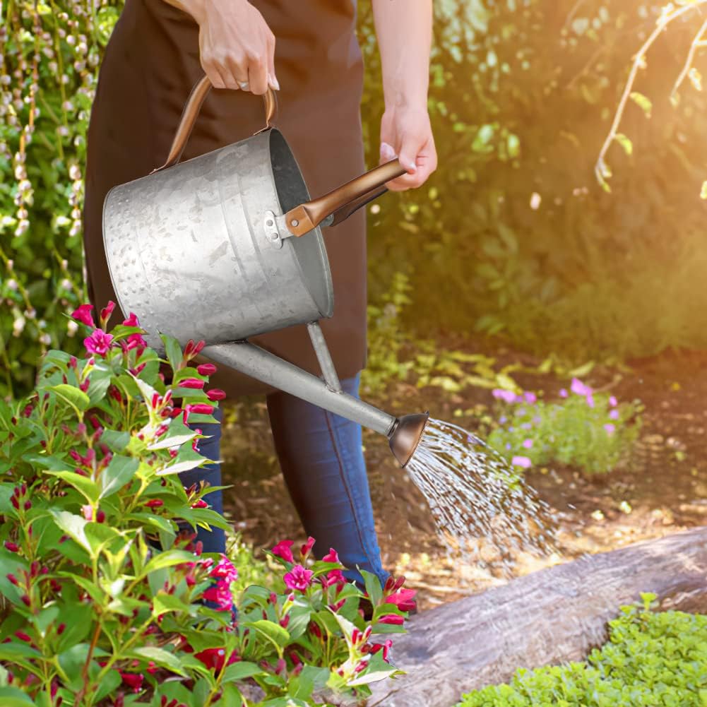 1 Gallon Metal Watering Can with Removable Spout, Nice Galvanized Steel Water Can with Embossed Design for Indoor and Outdoor Plants