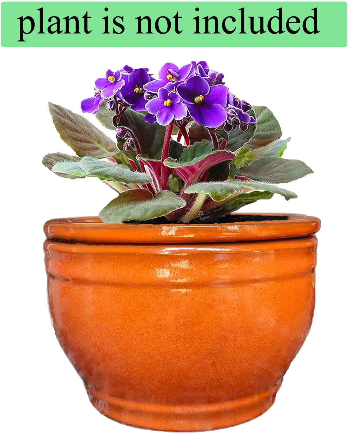 African Violet Pots Self Watering Round Ceramic Violet Pot (Orange, 6 inch)