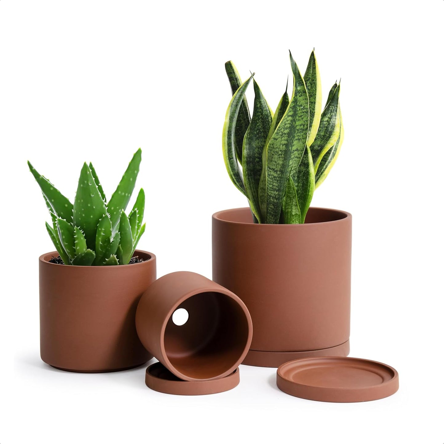 D'vine Dev Rust Terracotta Pots for Plants, 4.2 Inch 5.3 Inch 6.5 Inch, Succulent Planter Pot with Drainage and Saucer, 40-T-A-3