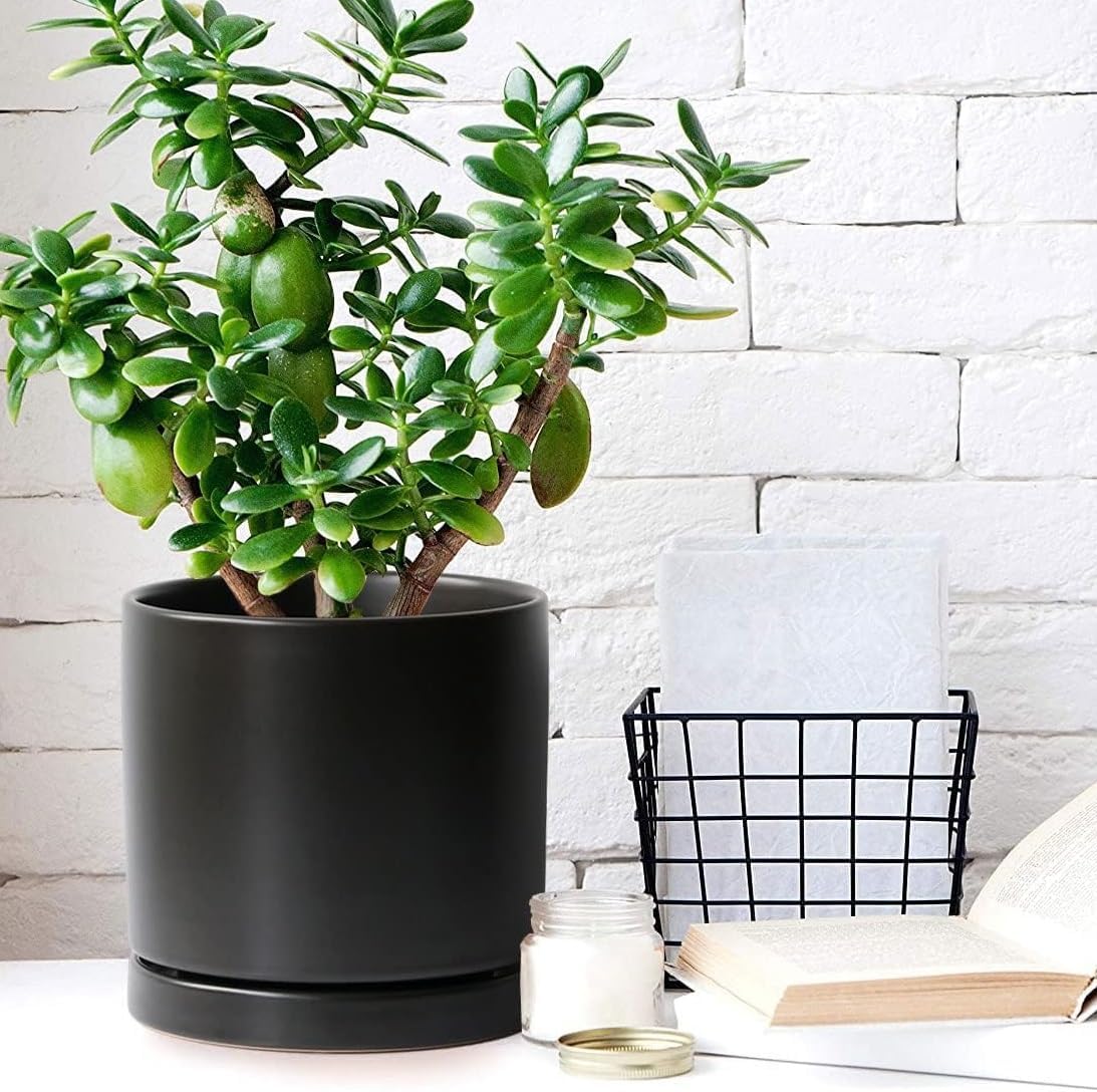 2 Pack Ceramic Plant Saucer Pot Tray 6 Inch, Planter Saucers 4 5 6 7 8 9 10 11 12 13 Inch for Indoors Outdoor, Durable Sturdy Flower Drainage drip Water Tray for Glazed Pots Base (6.4 Inch-Black)