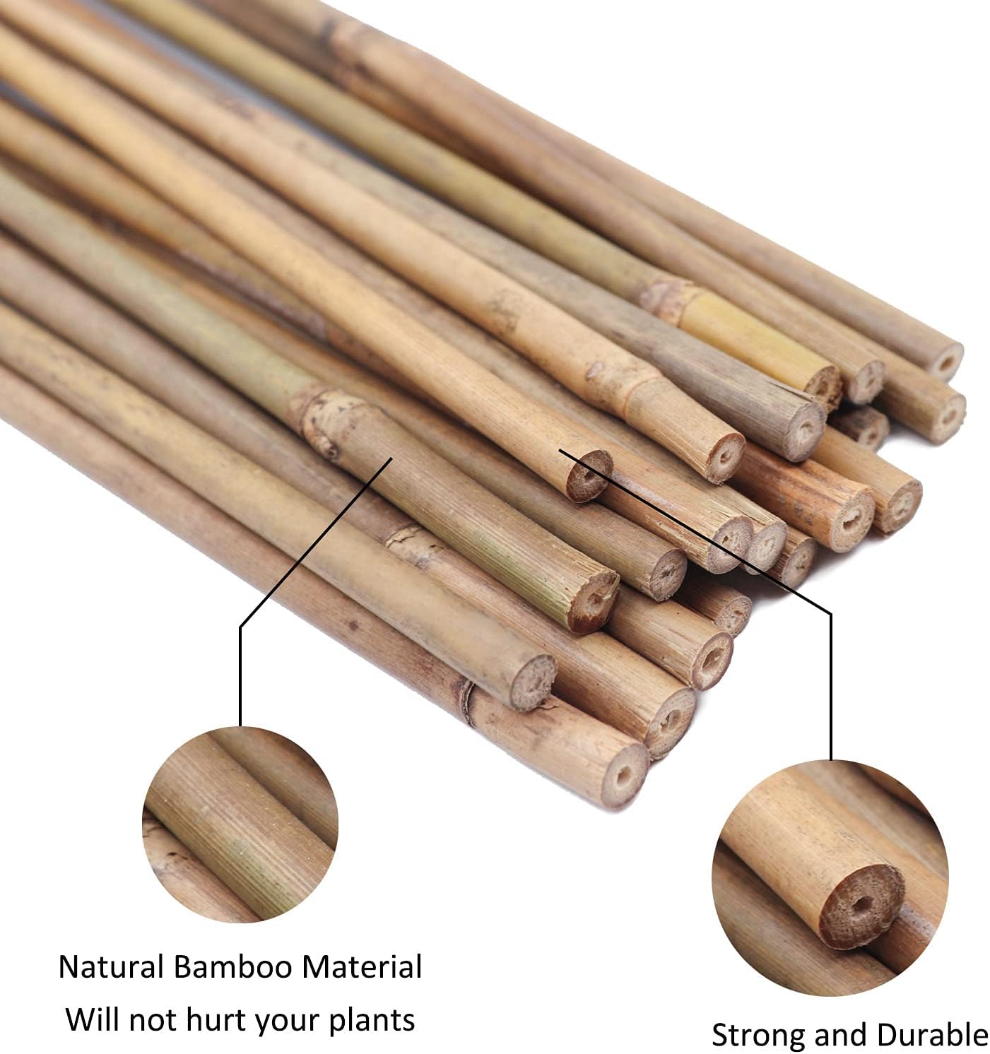 Plant Stakes Natural Garden Bamboo Sticks for Indoor and Outdoor, 20pcs for Tomatoes, Beans, Potted Plants - 18 inches