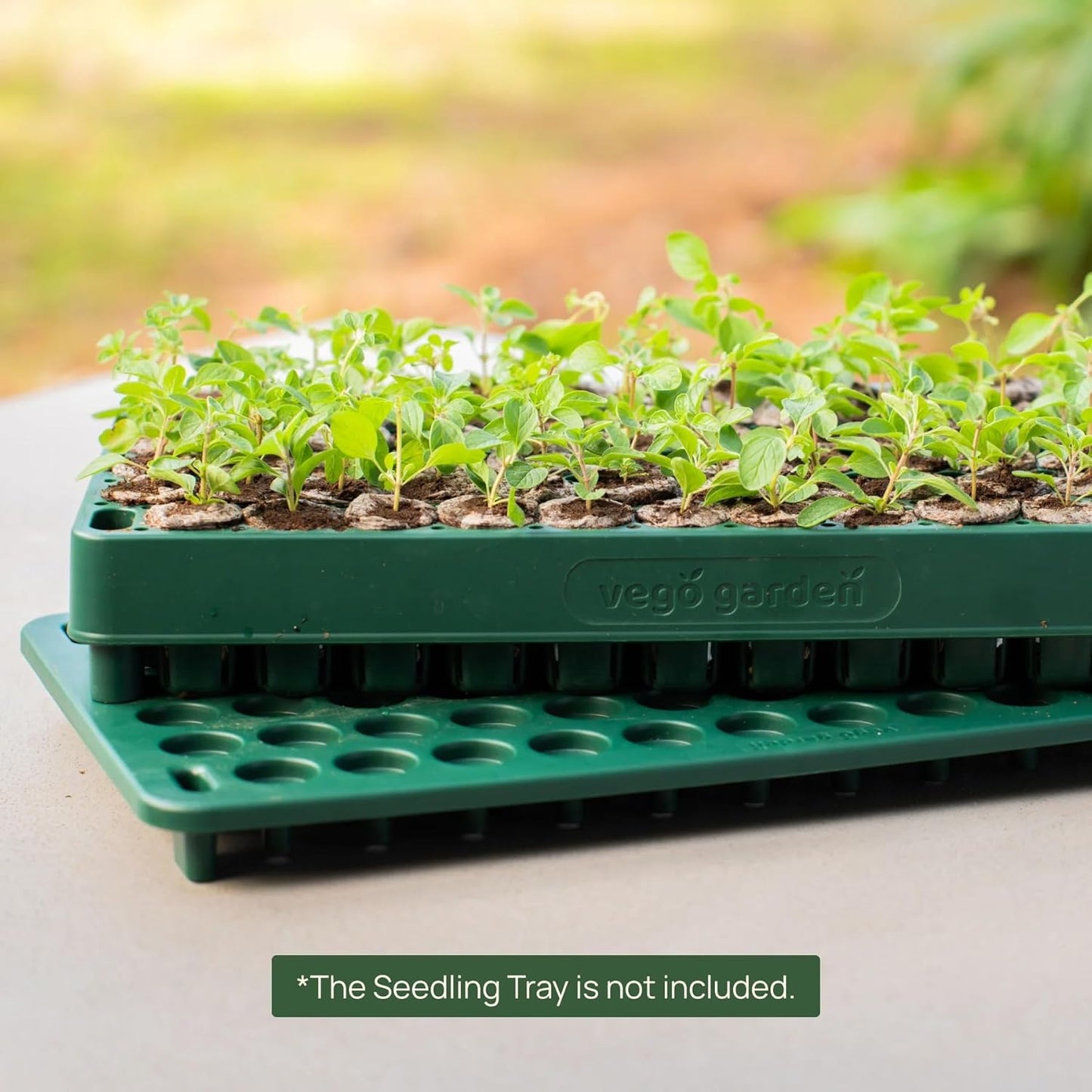 Vego garden Seedling Popper Tool, 3-in-1 Plant & Pop Board - 10" x 20", Works Perfectly with Stackable Seedling Trays