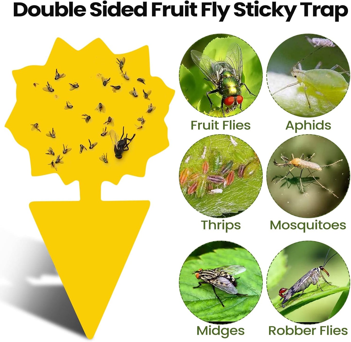 200 Sheets Fruit Fly Sticky Traps for Fruit Fly Gnat Trap for House Indoors Sticky Traps Catcher for Gnats Fungus Gnats Mosquito Catcher for Kitchen Outdoor Plants(Yellow)
