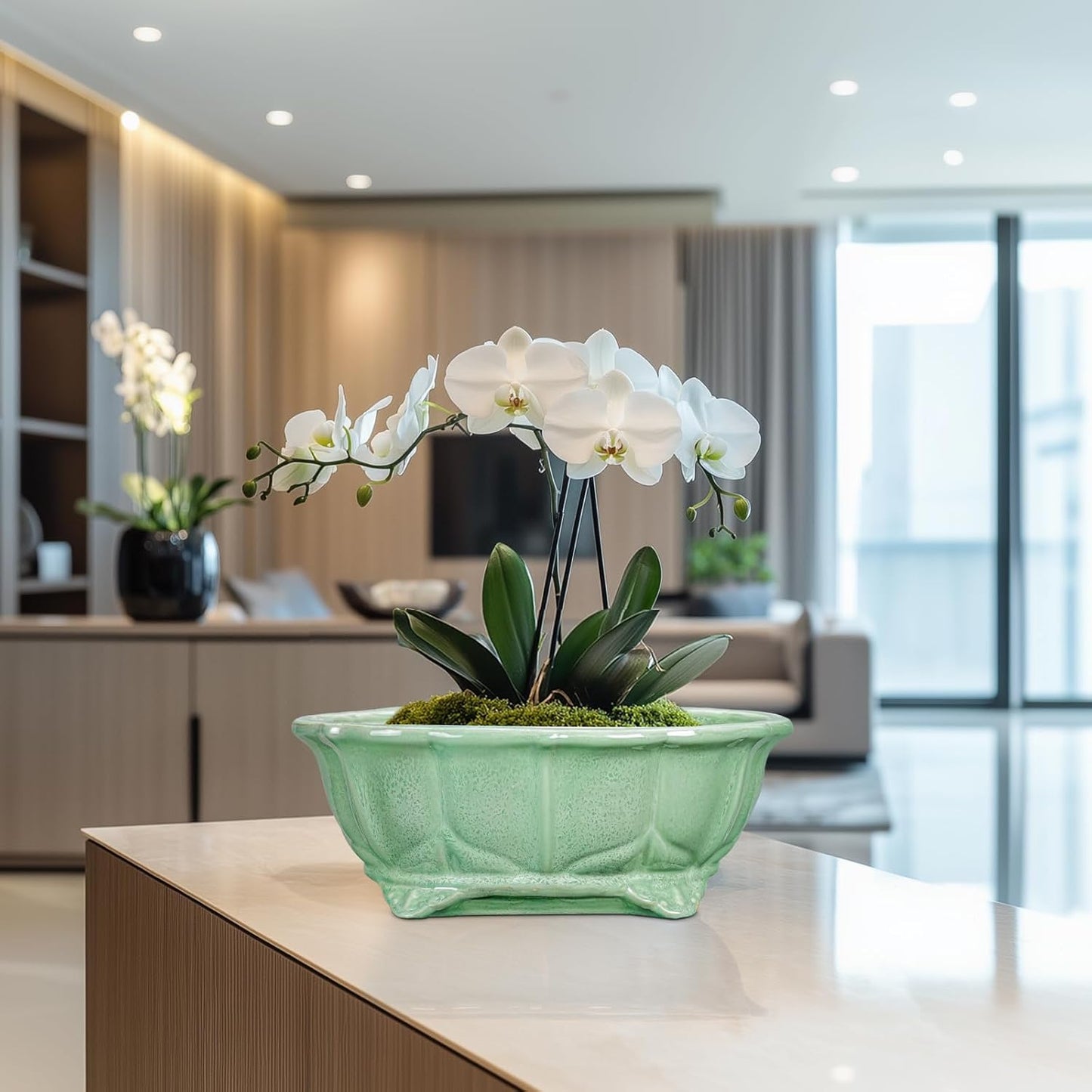 Bonsai Pots 11 Inch - Ceramic Succulent Pots with Drainage Hole, Oval Planter for Indoor Outdoor, Decorative Ceramic Flower Pot, Home Garden Room Decor, Plant Lover Gifts, Green