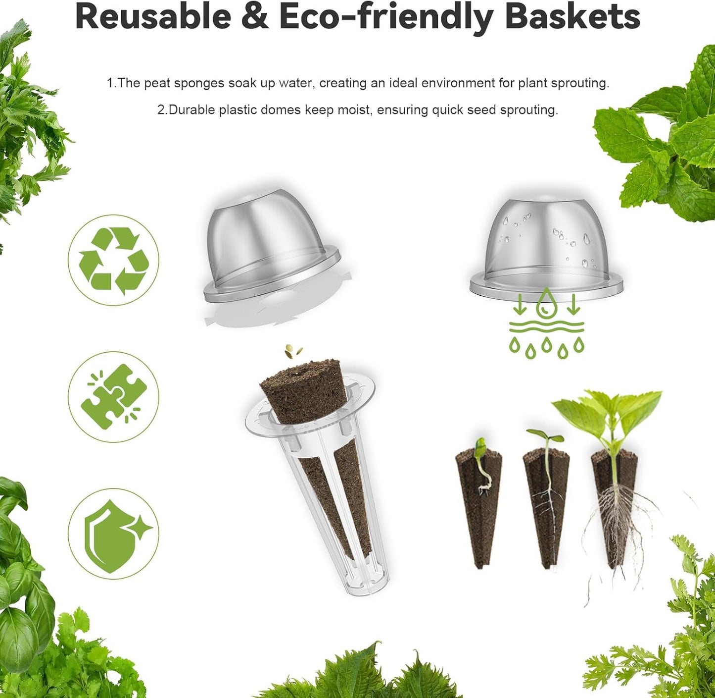 inbloom 12-Pod Salad Greens Seed Pod Kit for AeroGarden, Ahopegarden, Hydroponic Garden with Spinach, Buttercrunch, Paris & American Lettuce, Swiss Chard, Wild Cabbage