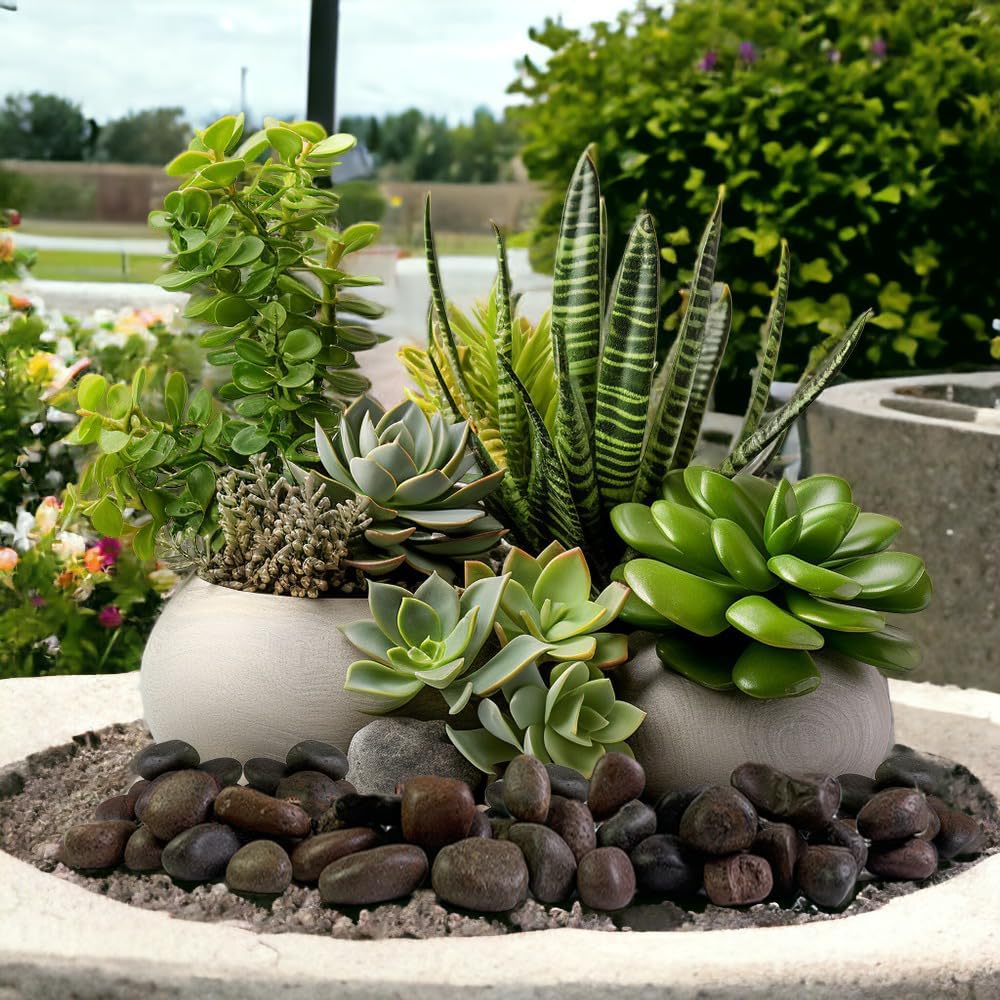 HappyFiller Natural Decorative Red Pebbles Polished Gravel Rocks Stones for Aquarium,Fish Turtle Tank,Outdoor Indoor Plants Top Dressing,Succulents Soil Cover,Garden Landscaping,10 LB