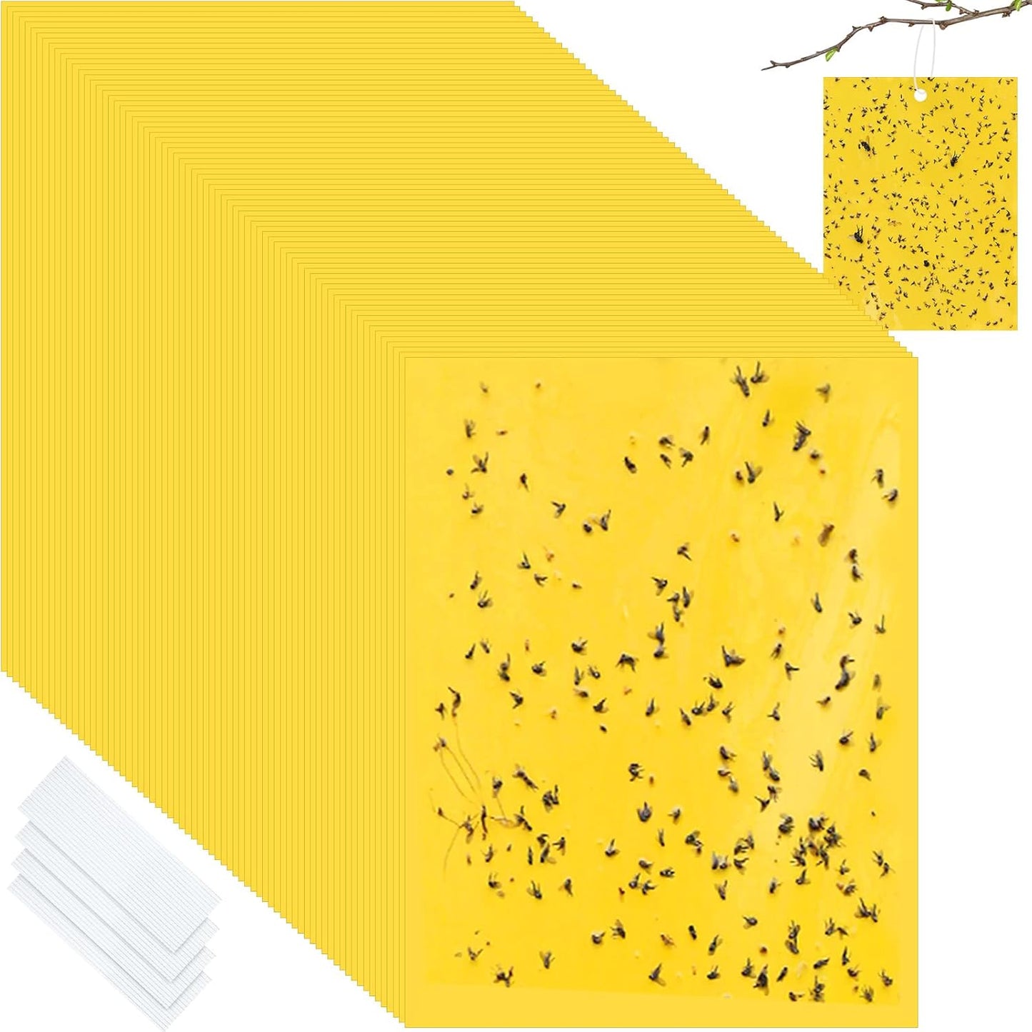 Qualirey 100 Pcs 6 x 8 Inch Sticky Traps for Plant Double Sided Sticky Trap for Gnats with Twist Ties Fly Traps for Fruit Insect Fungus Bugs Indoor Outdoor (Yellow)