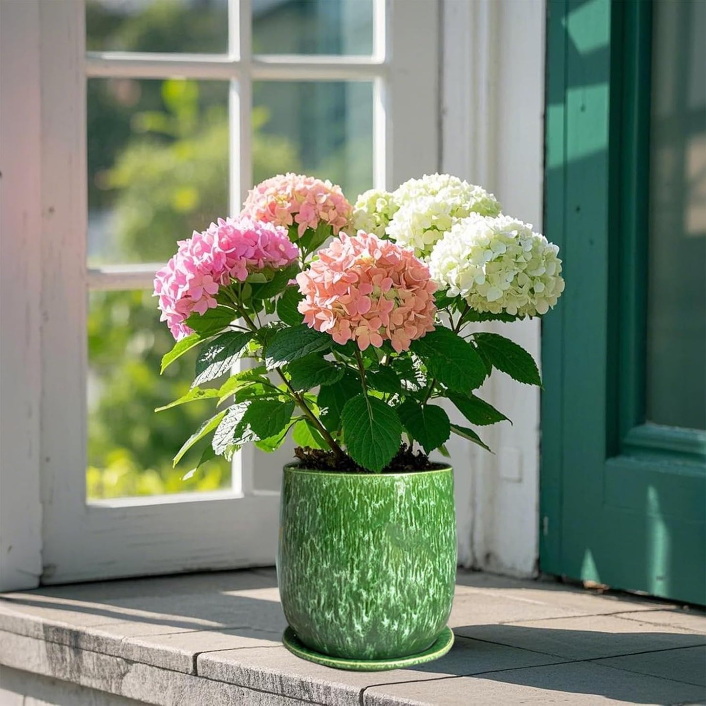 6 in Ceramic Plant Pot with Saucer，Indoor Plant Pot for Plants, Flower Pot with Drainage，Reactive Glaze Green