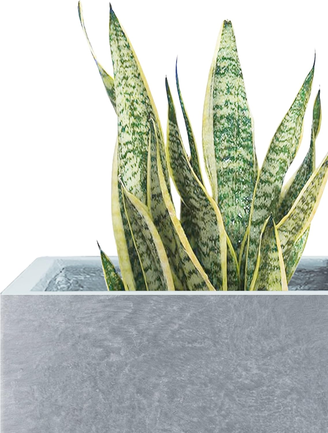 Kante 10 Inch Square Concrete Planter for Outdoor Indoor Home Patio Garden, Large Plant Pot with Drainage Hole and Rubber Plug, Slate Gray