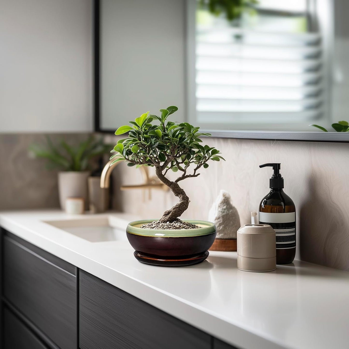 SQOWL Succulent Pots 6 Inch - Shallow Ceramic Planter, Bonsai Pot with Drainage Hole and Saucer, Round Ceramic Succulent Planter for Indoor Outdoor Plant, Kitchen Decor, Plant Lover Gift, Green-Brown