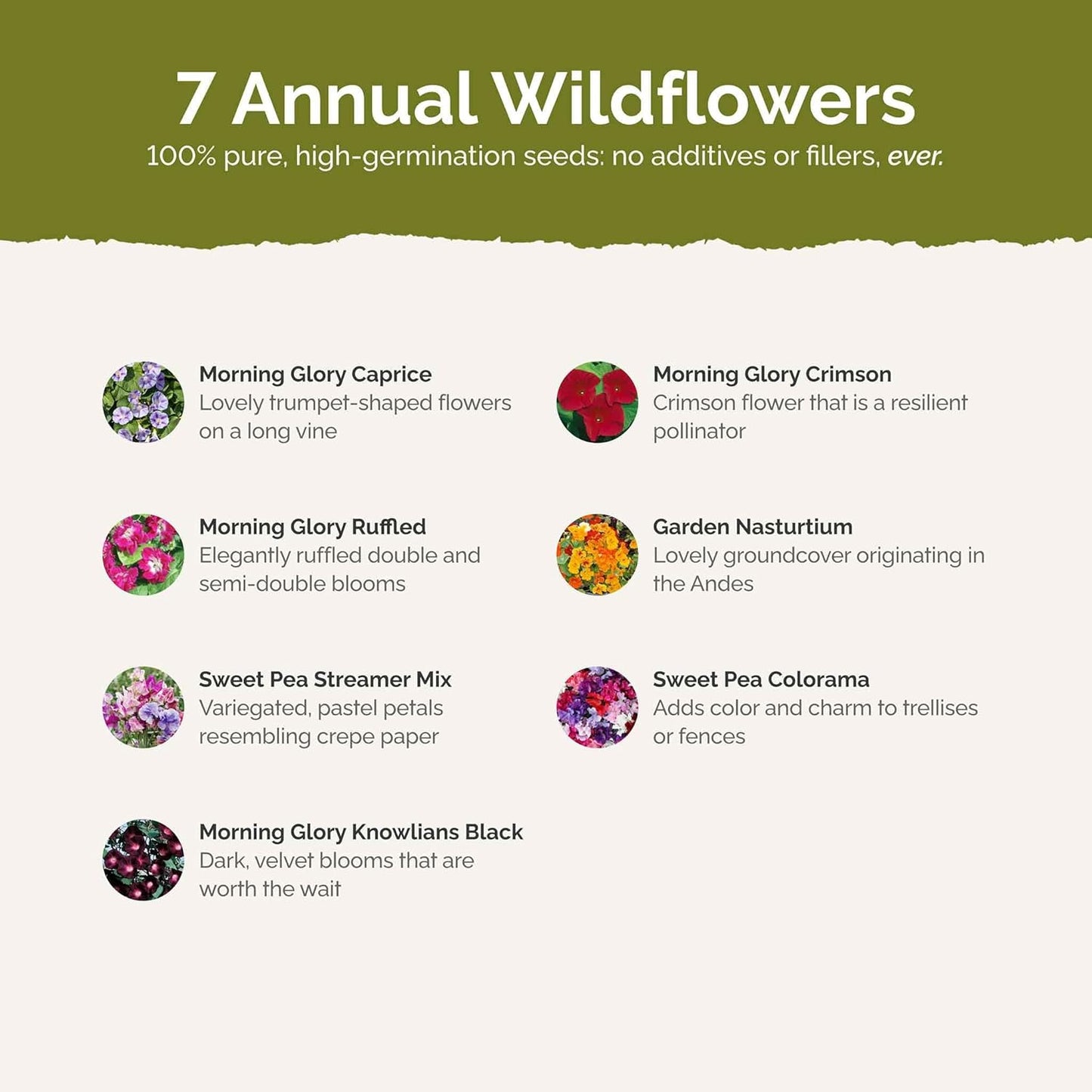 Eden Brothers Colorful Climbers Flower Mixed Seeds for Planting, 1 lb, 480,000+ Seeds with Morning Glory, Sweet Pea | Attracts Pollinators, Plant in Spring or Fall, Zones 3, 4, 5, 6, 7, 8, 9, 10