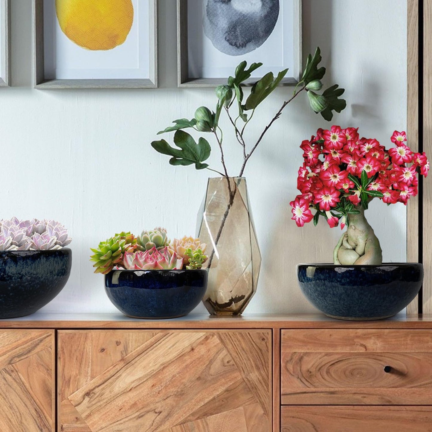 11 9 7 Inch Succulent Pot with Drainage and Mesh Pads Large Round Ceramic Plant Pot for Indoor Outdoor Plants Succulent Planter Cactus Bonsai Pot Container Set of 3 (Blue)