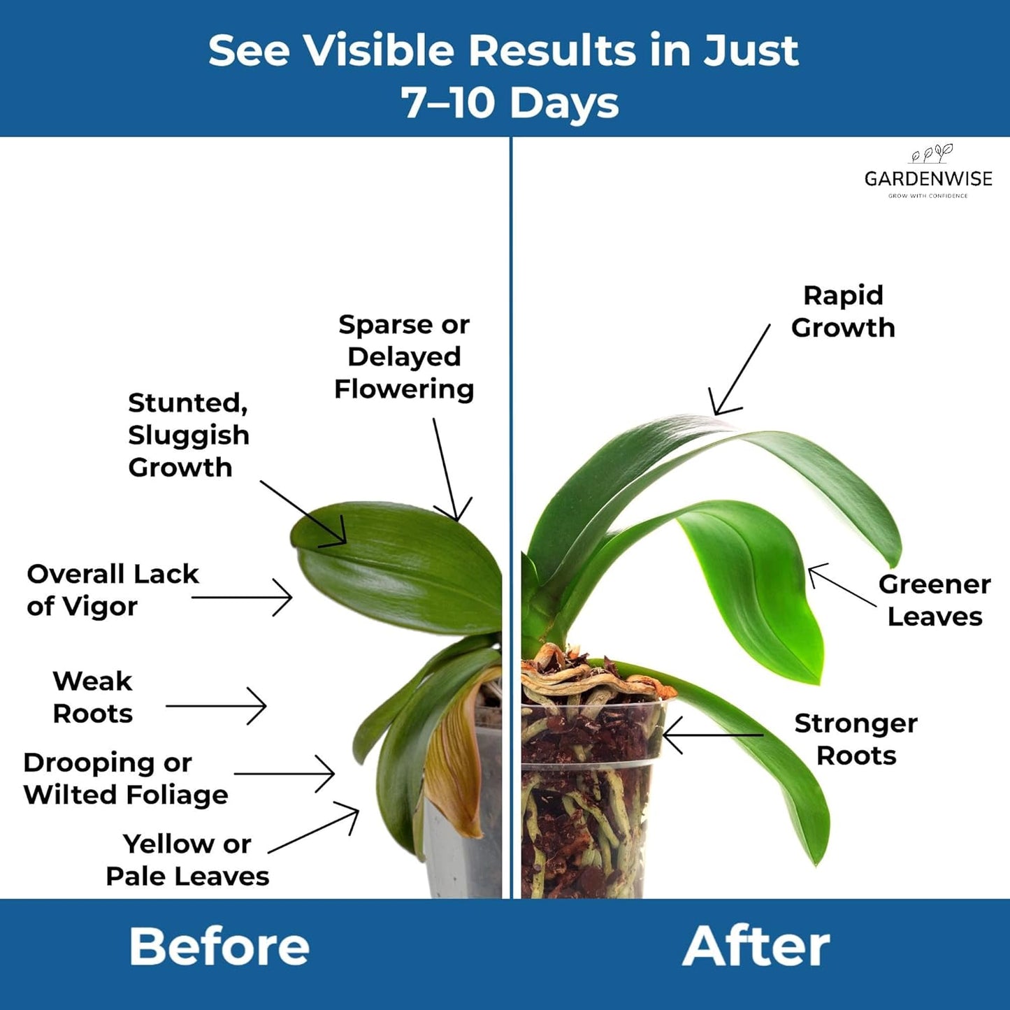 20-20-20 Water-Soluble Fertilizer – Powder for Liquid Plant Food for Indoor & Outdoor Plants, Orchids, Vegetables, Lawns, Flowers – 20 20 20 Fertilizer 5 Quarts (10 lbs)