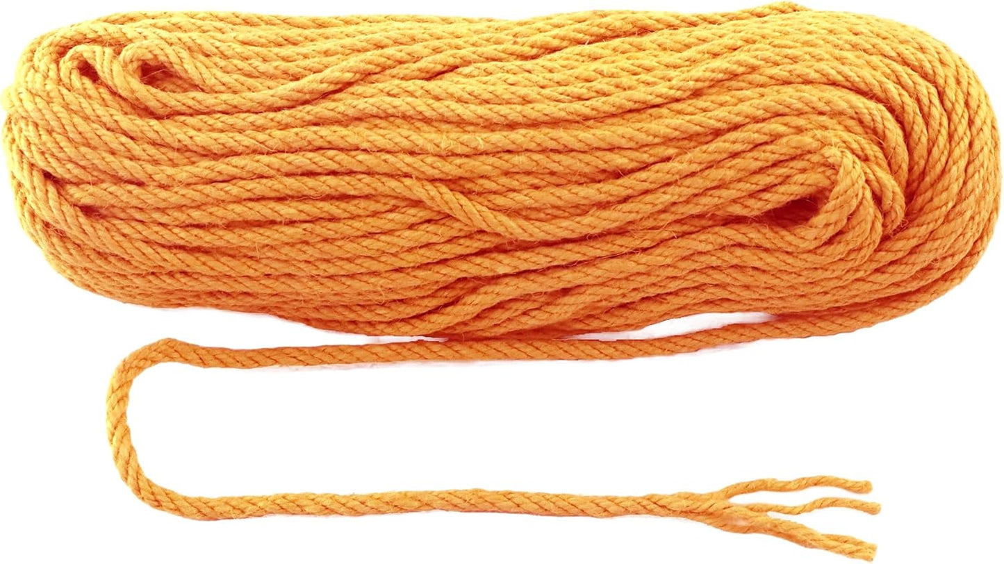 6mm x 150 Feet Orange Jute Rope, Twine for Gardening Tomato Climbing Plant Tie Floristry Crafts Gift Wrapping Packing Decor