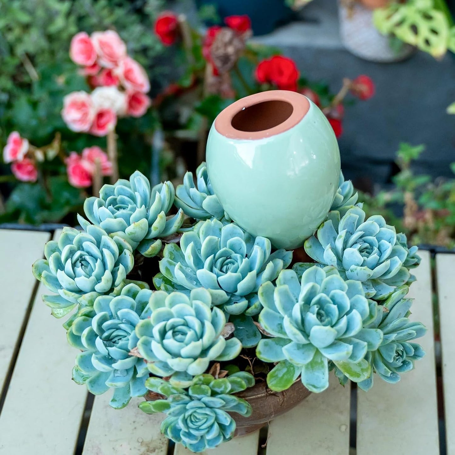 Self-Watering Planter Insert - 2 Pack Automatic Watering System for Indoor and Outdoor Potted Plants - Eco-Friendly Blue & Green Design with 300ml Capacity for Vacation Moisture Control