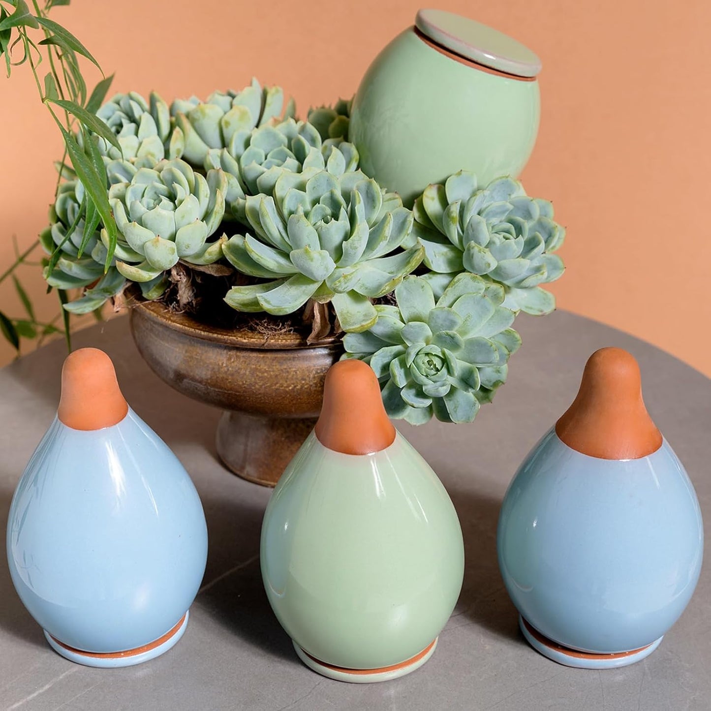 4-Pack Self Watering Planter Insert - 2 Blue and 2 Green Ceramic Watering Globes for Indoor Plants, Terracotta Bulbs, and Small Plant Pots - 300ml Capacity, 1 Weeks Autonomy