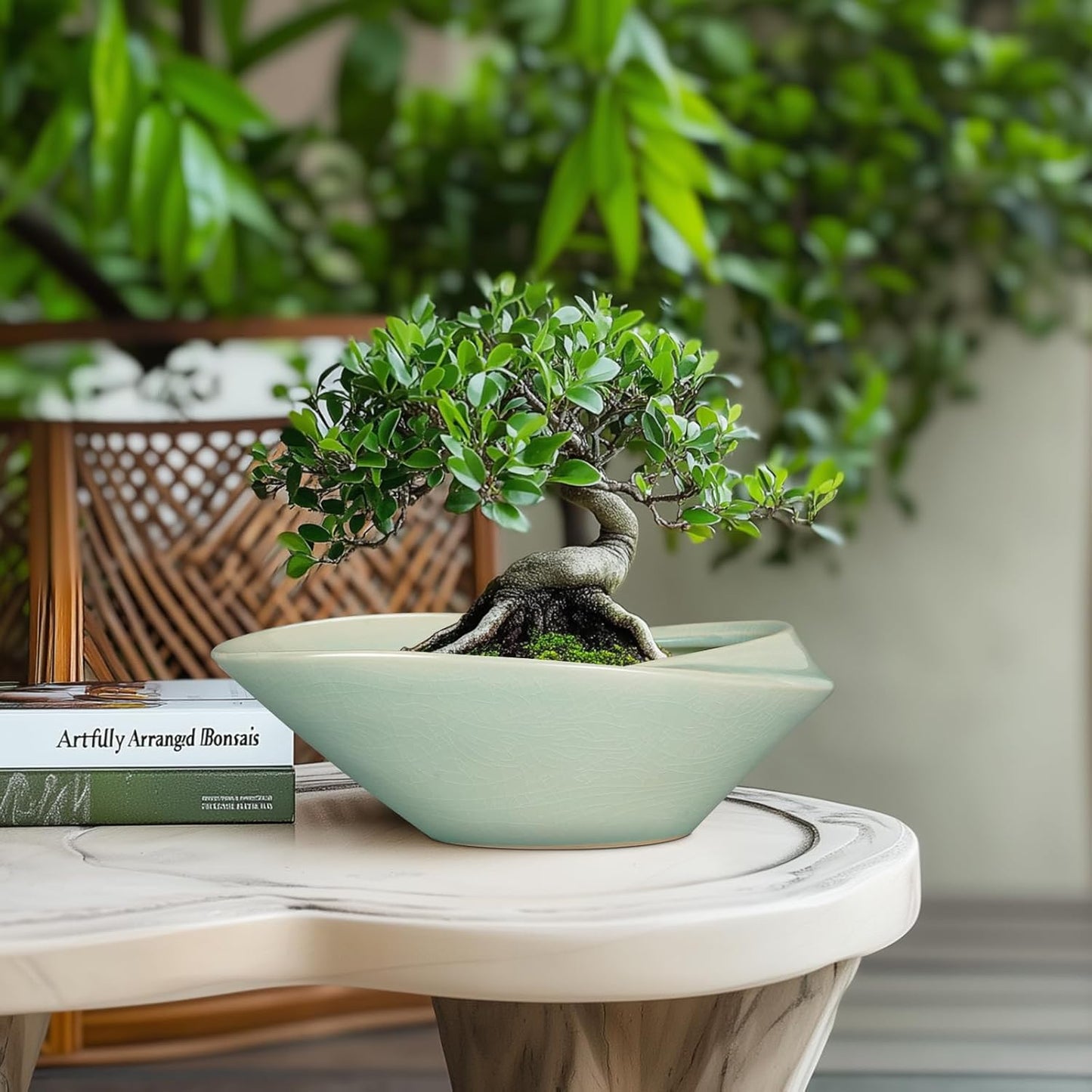 Bonsai Pot - 12 Inch Ceramic Planter Pot with Drainage Hole Large Modern Planter Decorative Glazed Succulent Plant Pot for Indoor Outdoor Plants Green