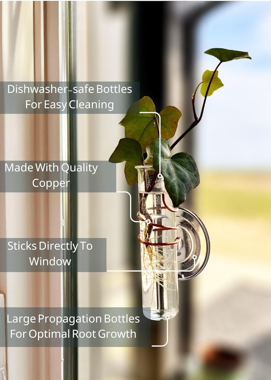 The Little Window Propagator- Window Plant Propagation Station with Removable Glass Test Tubes, Indoor Clippings, Cut Flowers, Herbs, Succulents | Home Decor | Plant Lover Gift