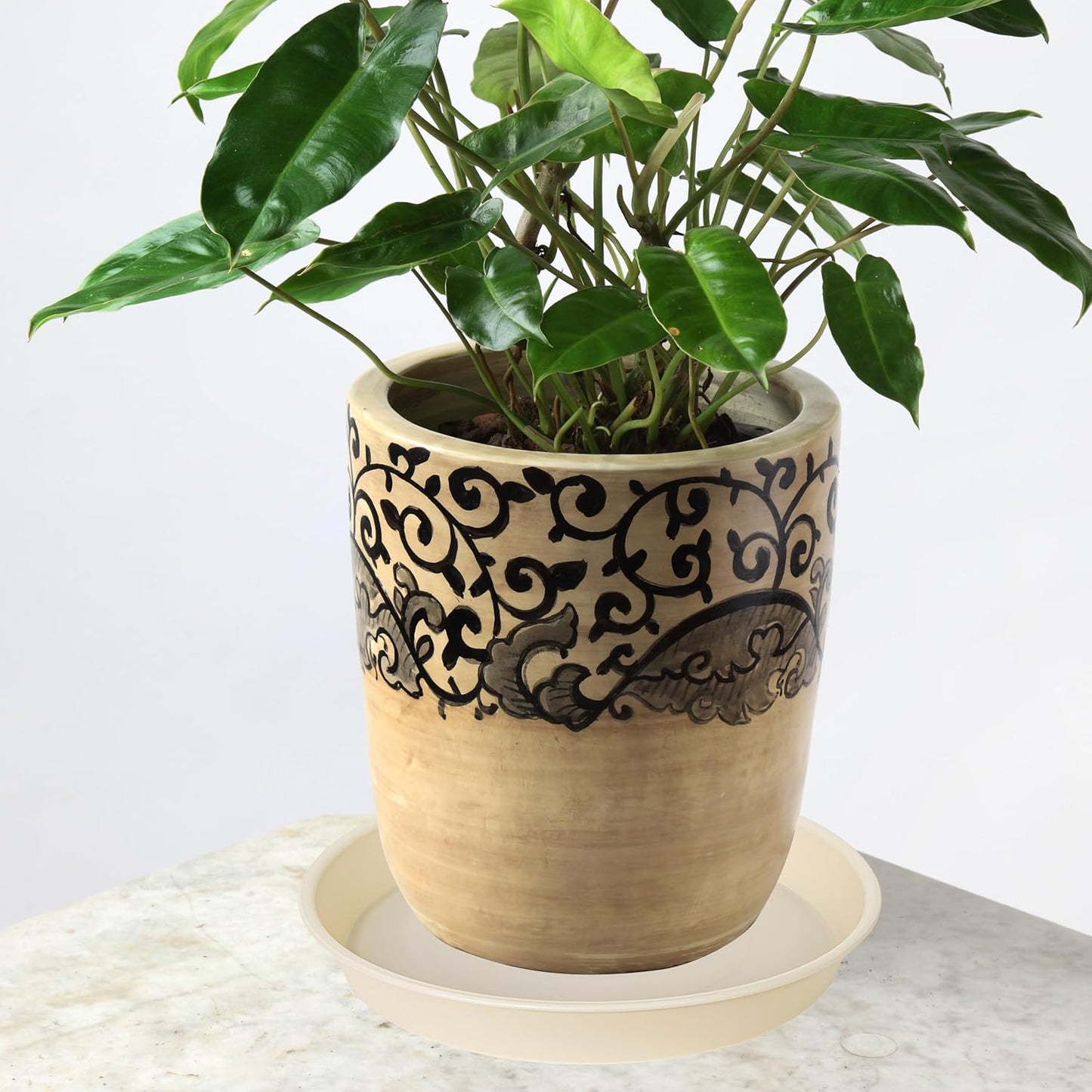 2 Pack of Bird Bath Bowl 12", 1.6" Depth, 10 12 inch Birdbath Bowls Dish Only for The Garden, Large Plant Saucer (12", Beige)