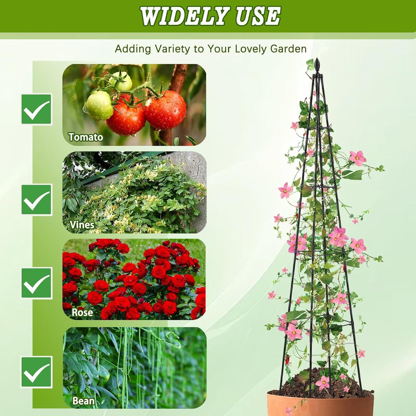 2 Pack Garden Trellis for Climbing Plants Outdoor,63inch Tall Rustproof Metal Obelisk Trellis Support for Potted Vines Vegetable Plants Indoor Outdoor, Lightweight