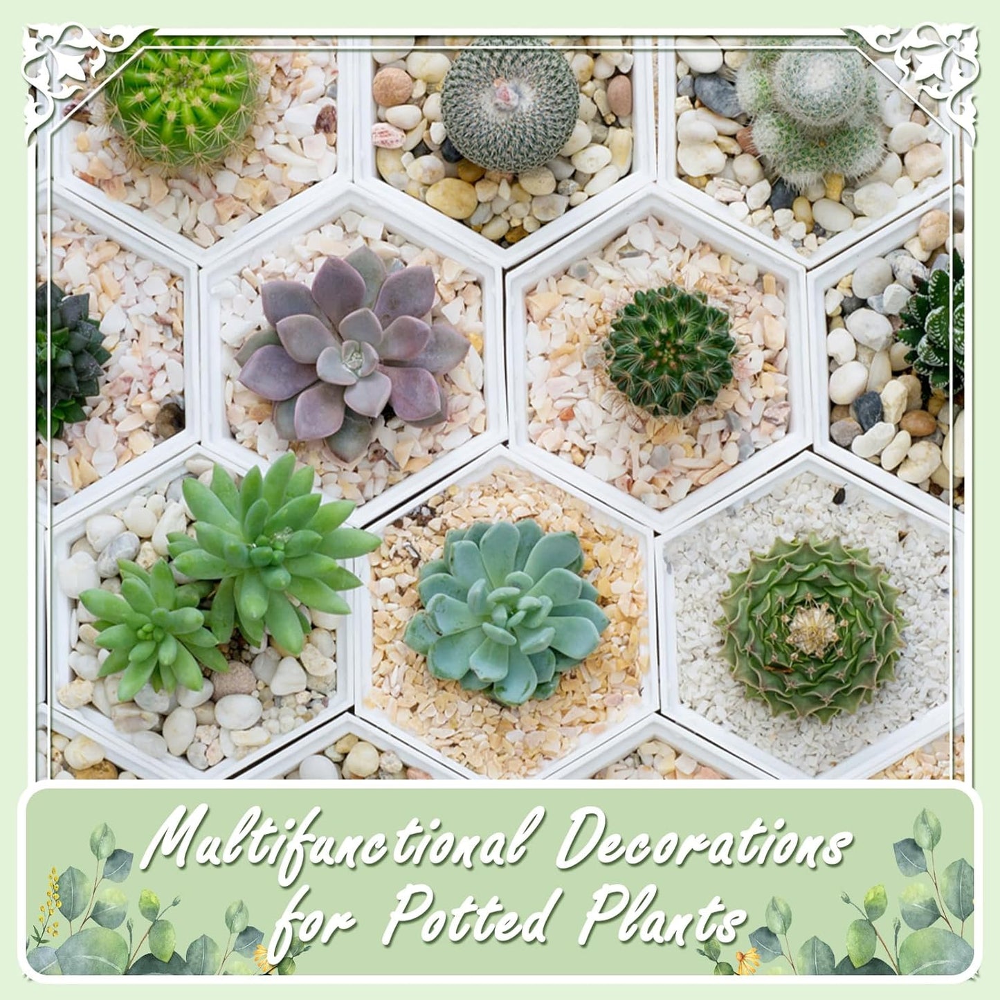 11lbs White Natural River Rocks, Polished Pebbles for Plants Garden, 1-2 inch Decorative White Stones, Ideal for Fish Tank, Vases, Crafting, Home Decor and Garden Landscaping Rocks,White