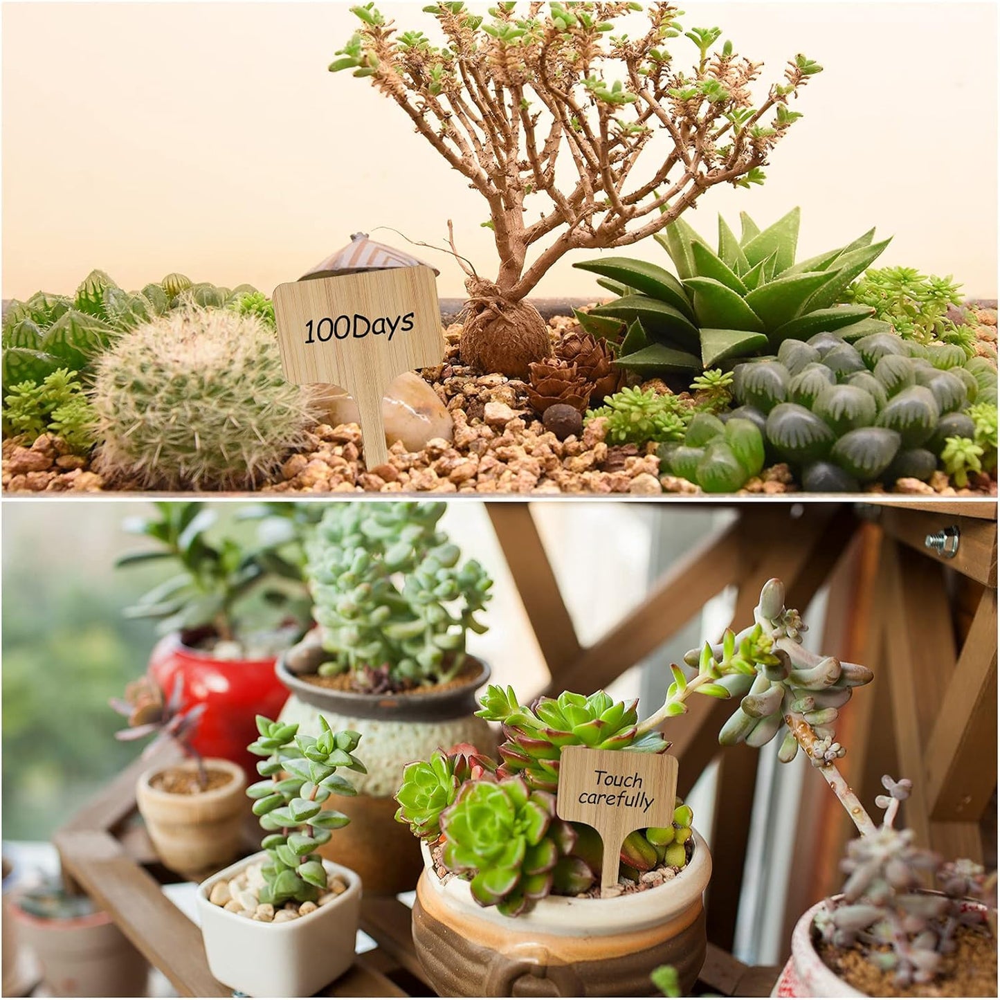 100Pcs Wooden Plant Labels, Eco-Friendly T-Type Bamboo Plant Labels Tags Garden Plant Markers for Seed Potted Herbs Flowers Vegetables (6 x 10 cm)