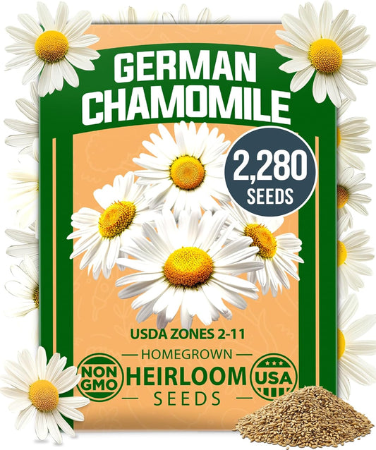 HOME GROWN 𝗨𝗦𝗔 𝗣𝗥𝗘𝗠𝗜𝗨𝗠 German Chamomile Seed Pack – 2,280 𝗡𝗢𝗡-𝗚𝗠𝗢 Heirloom Seeds for Planting for Sustainable Gardens and Soothing Medicinal Herbal Teas (Matricaria chamomilla)