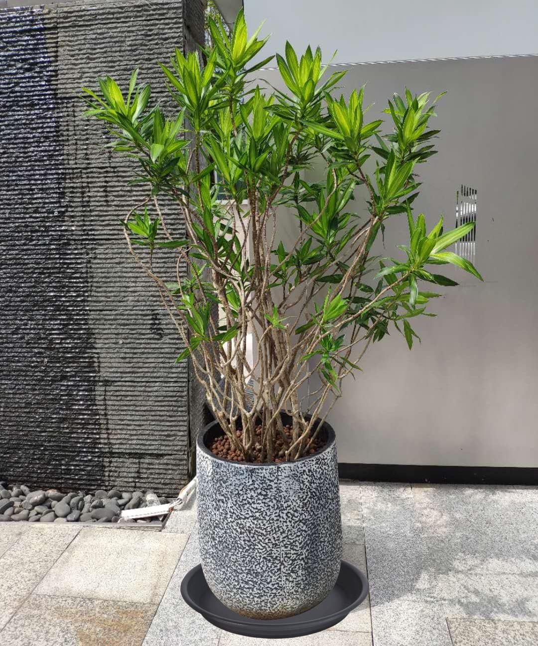 2 Pack of 18 19 inch Plant Saucer, Large Deep Plastic Flower Planter Saucers and Drip Trays for Indoors Outdoors, Heavy Durable Plant Plate Water Catcher, Tray for Planter 15-19" (18", Black)