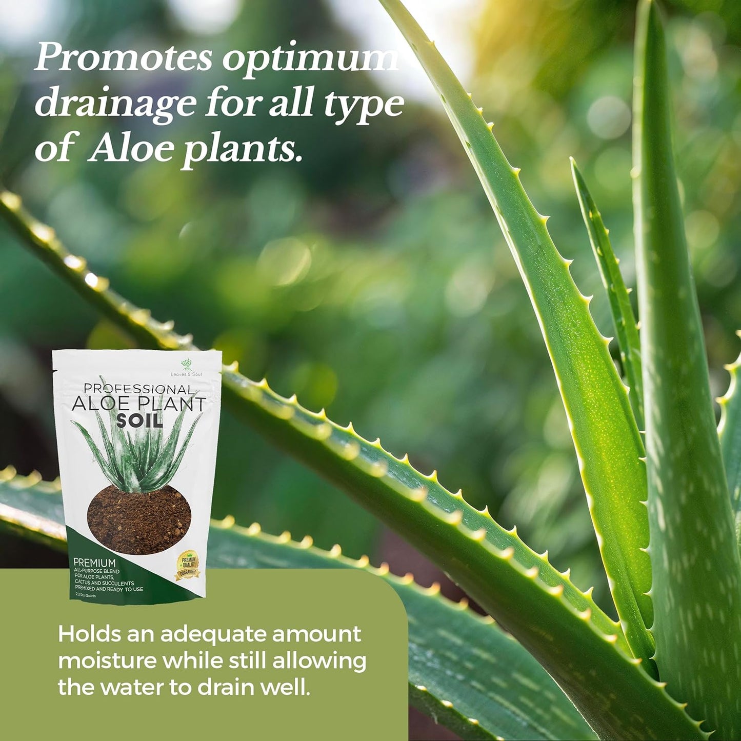 Professional Aloe Plant Soil | Premium All Purpose Blend | Large 2.2 Quarts | Ready to Use for Aloe, Cactus, Succulent Plants | Pinebark, Peat, Course Sand | Made in USA