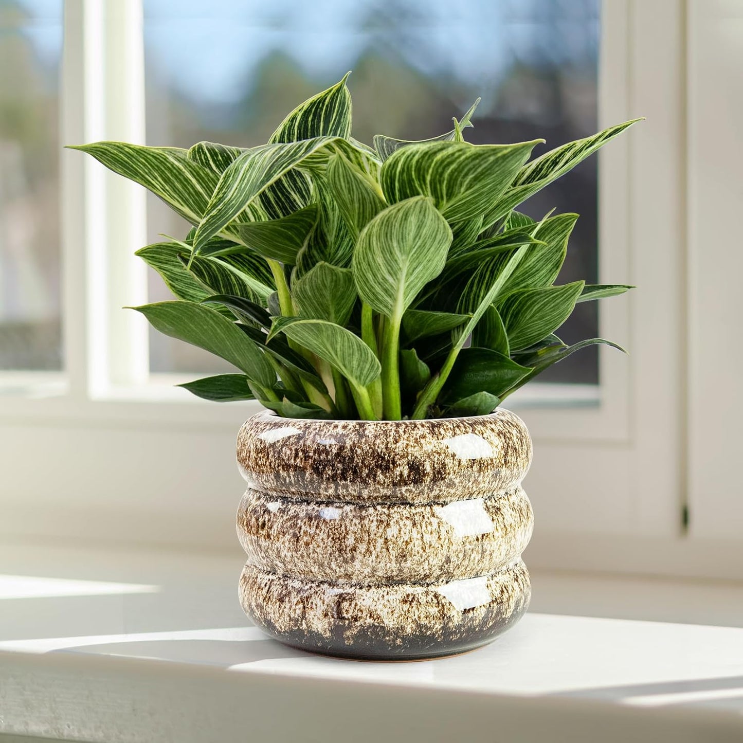 Ceramic 6 inch Plant Pot - Planter for Indoor Plants with Drainage Hole, Flower Pots for Orchid, Succulent,Outdoor Plants, Modern Glaze Planters for Home Office Decor Gift