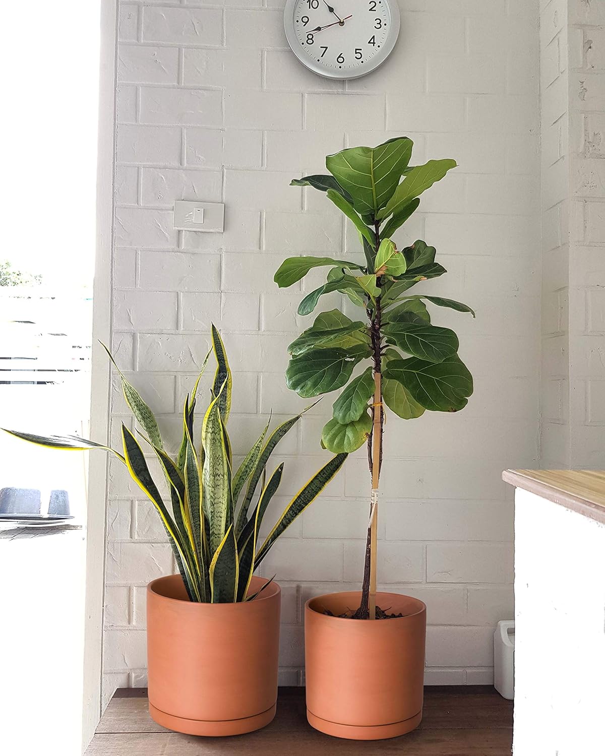 D'vine Dev Terracotta Pots for Plants, 8.3 Inch 10 Inch 12 Inch, Round Cylinder Planter Pot with Drainage and Saucer, 40-T-D-0