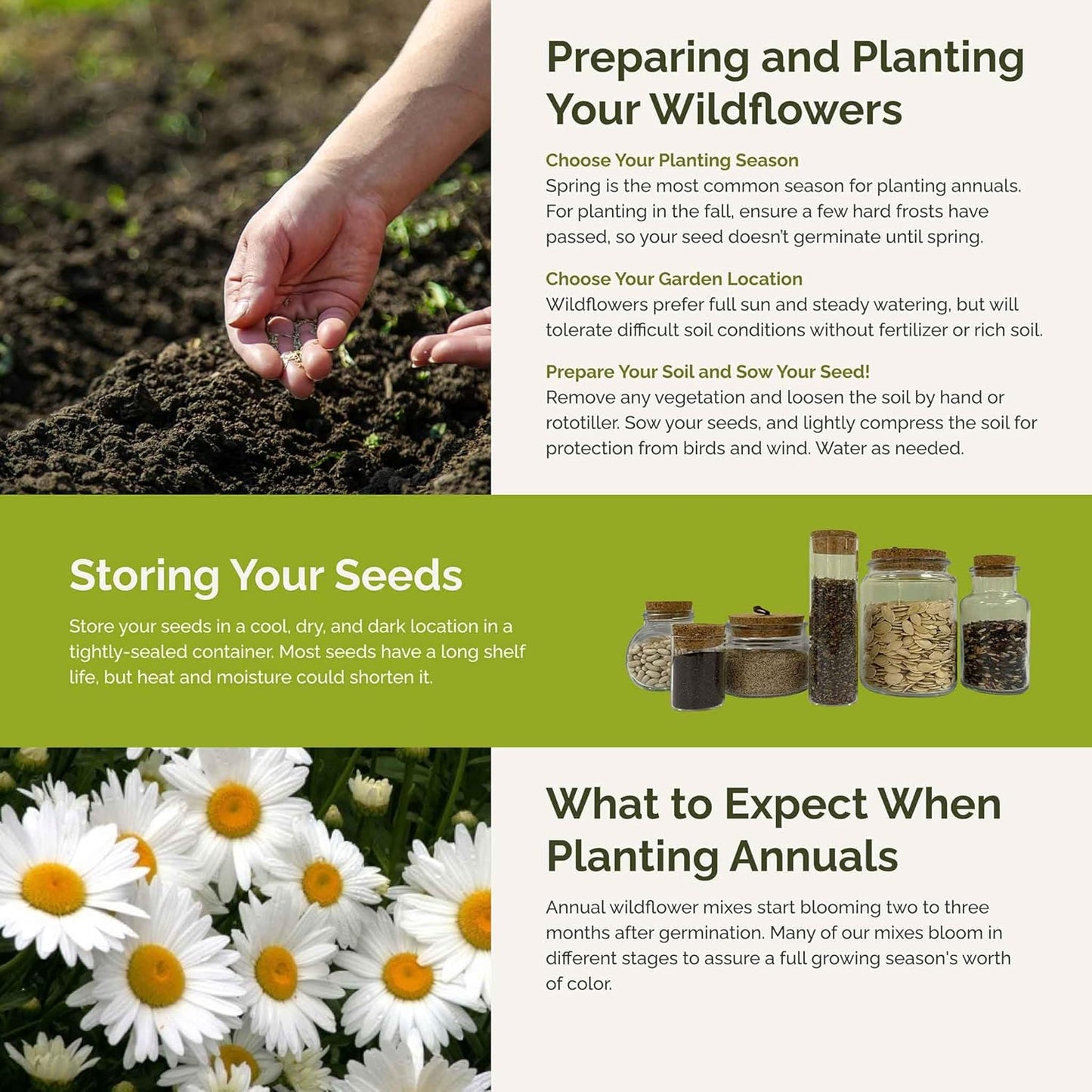 Eden Brothers Green with Envy Flower Mixed Seeds for Planting, 1/4 lb, 120,000+ Seeds with White Yarrow, Cornflower White | Attracts Pollinators, Plant in Spring or Fall, Zones 3, 4, 5, 6, 7, 8, 9, 10