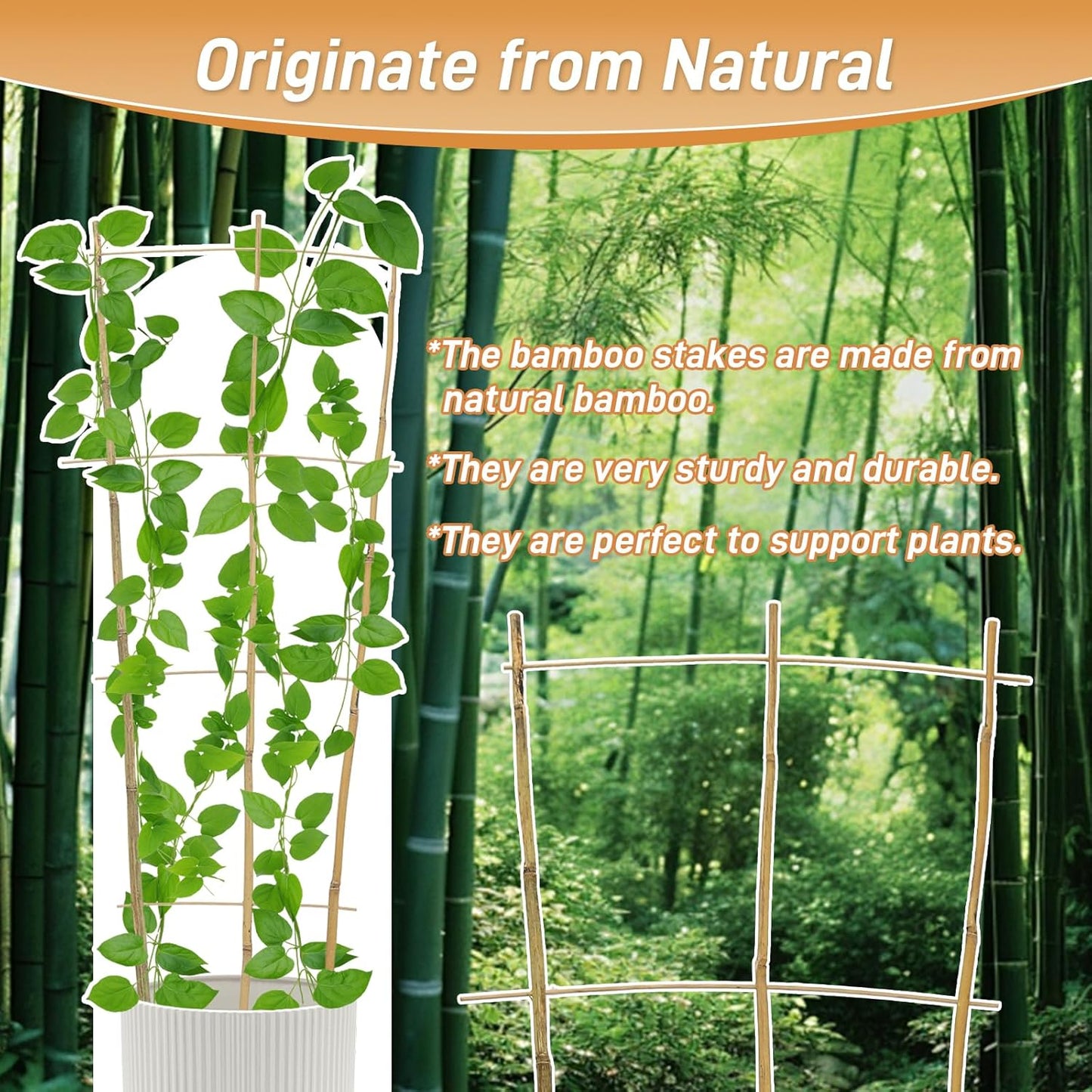 10 Pack 3ft Bamboo Trellis for Climbing Plants-Natural Garden Ladder Trellis, Fan -Shaped Support Trellis for Potted Plant Decor in Door