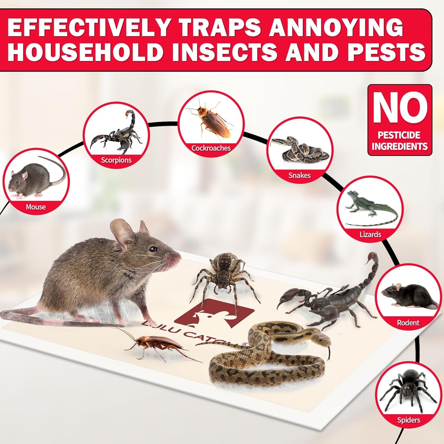 LULUCATCH Mouse Traps Indoor for Home, 12 Pack Pre-Baited Sticky Mouse Traps, Non-Toxic Bulk Sticky Tray, Adhesive Glue Boards for Rats, Bugs, Spiders, Mice, Cockroaches, Pet Safe Pest Control