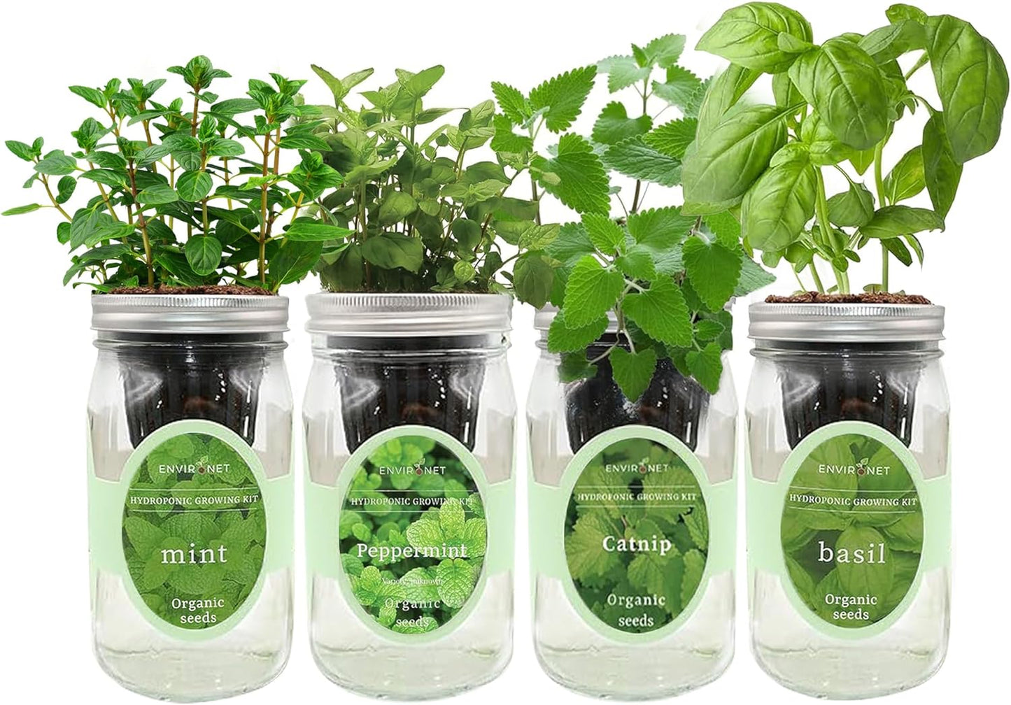 Hydroponic Herb Growing Kit Set, Self-Watering Mason Jar Herb Garden Starter Kit Indoor, Grow 4 Kinds of Herbs from Seeds (Catnip,Peppermint,Mint&Basil)